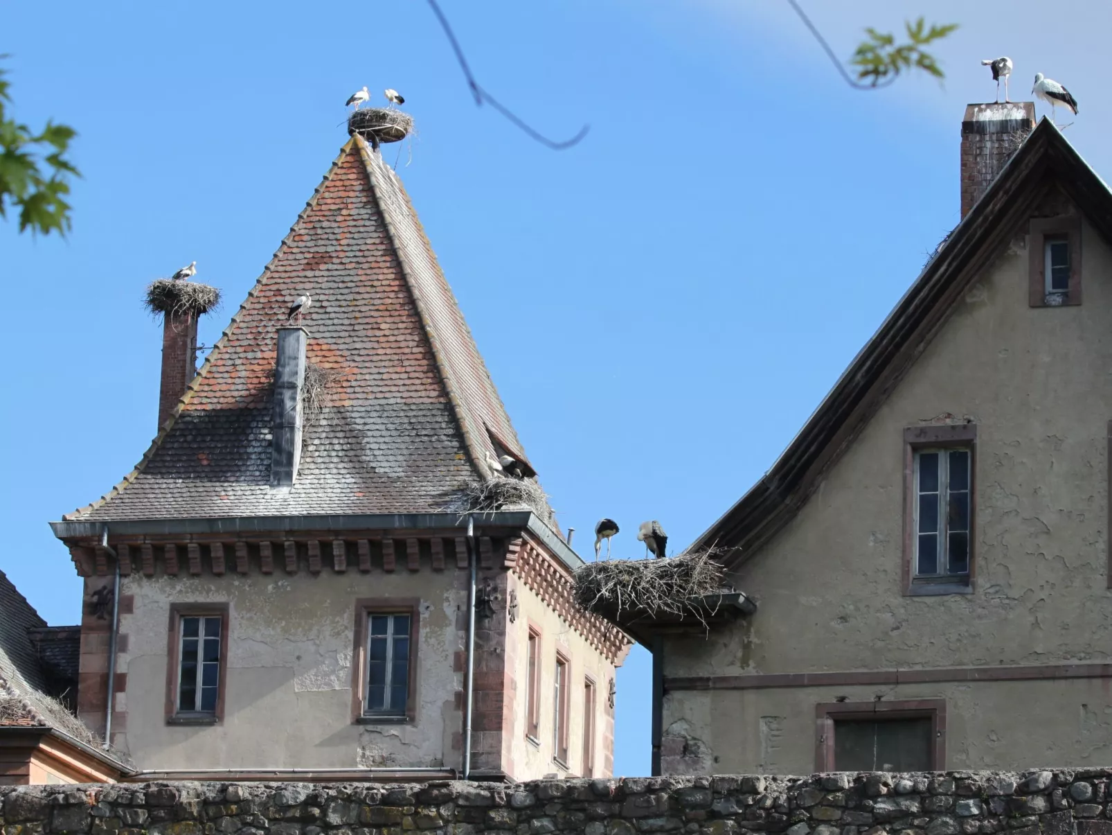 Zwischen Elsass und Vogesen, gite in einem schönen Chalet.-Buiten