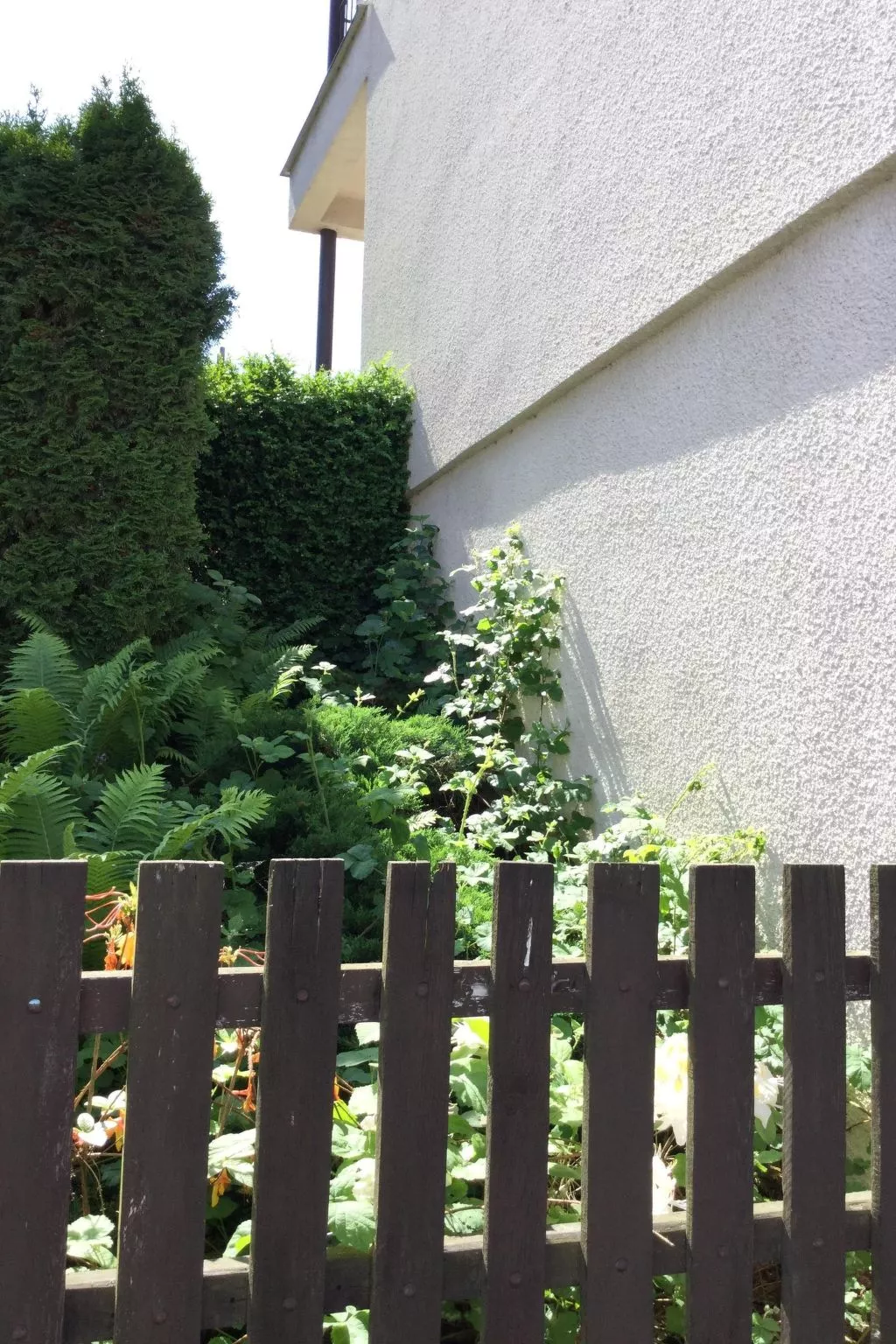 Wohnung Lydiavi-Buiten