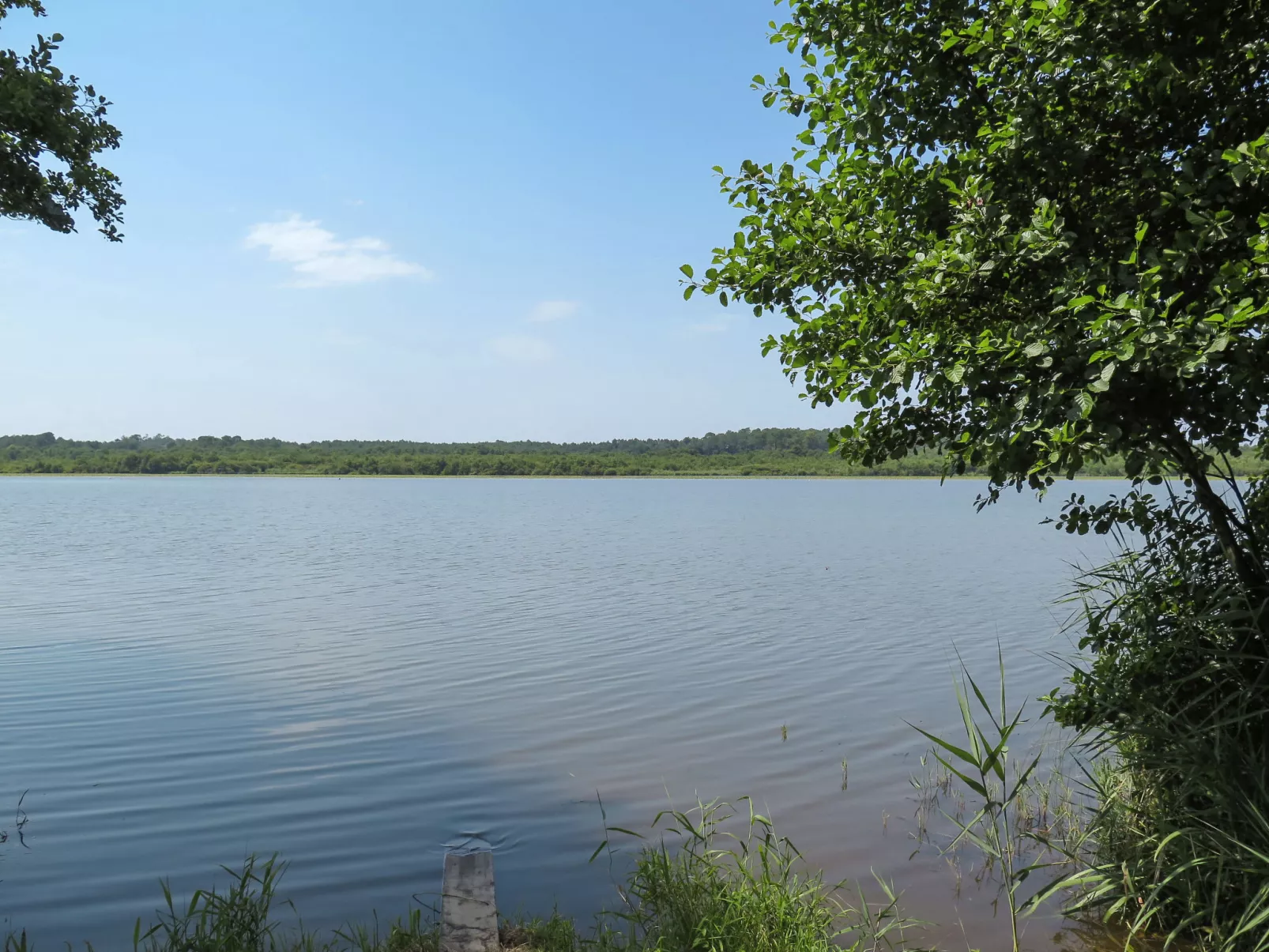 Schönes Appartment in ruhiger Lage in einer baumbestandenen Residenz mit beheiz-Omgeving