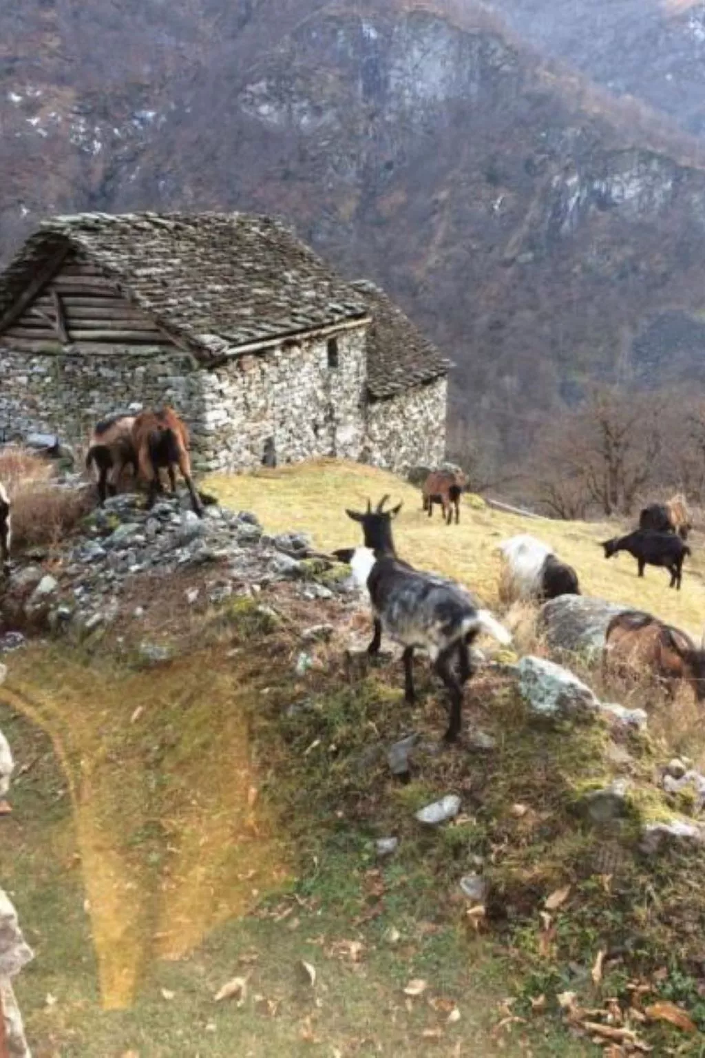 Weg von der Zuvielisation-Buiten