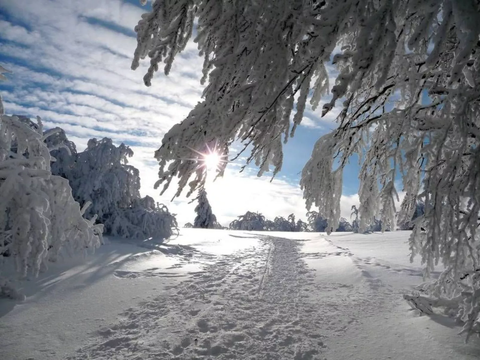 Domäne "Leons Garage"-Buiten