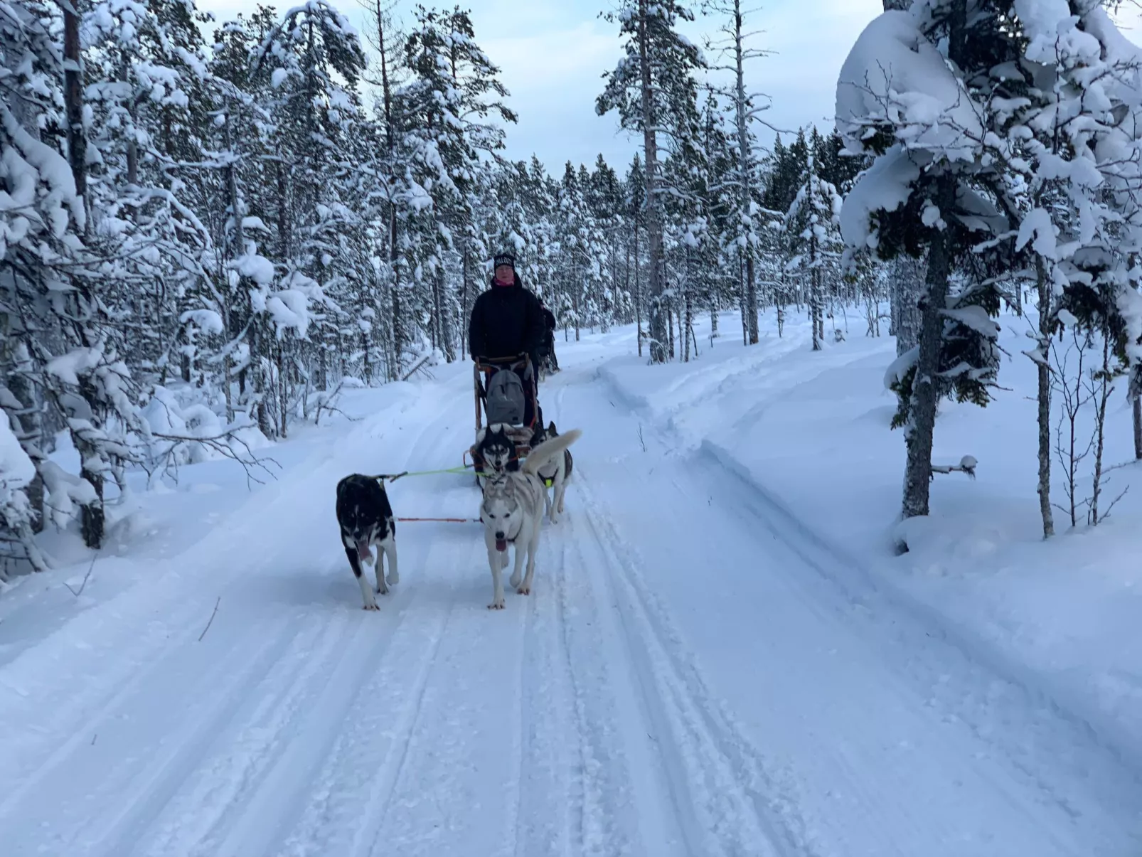 "Villa Tina" - Buiten
