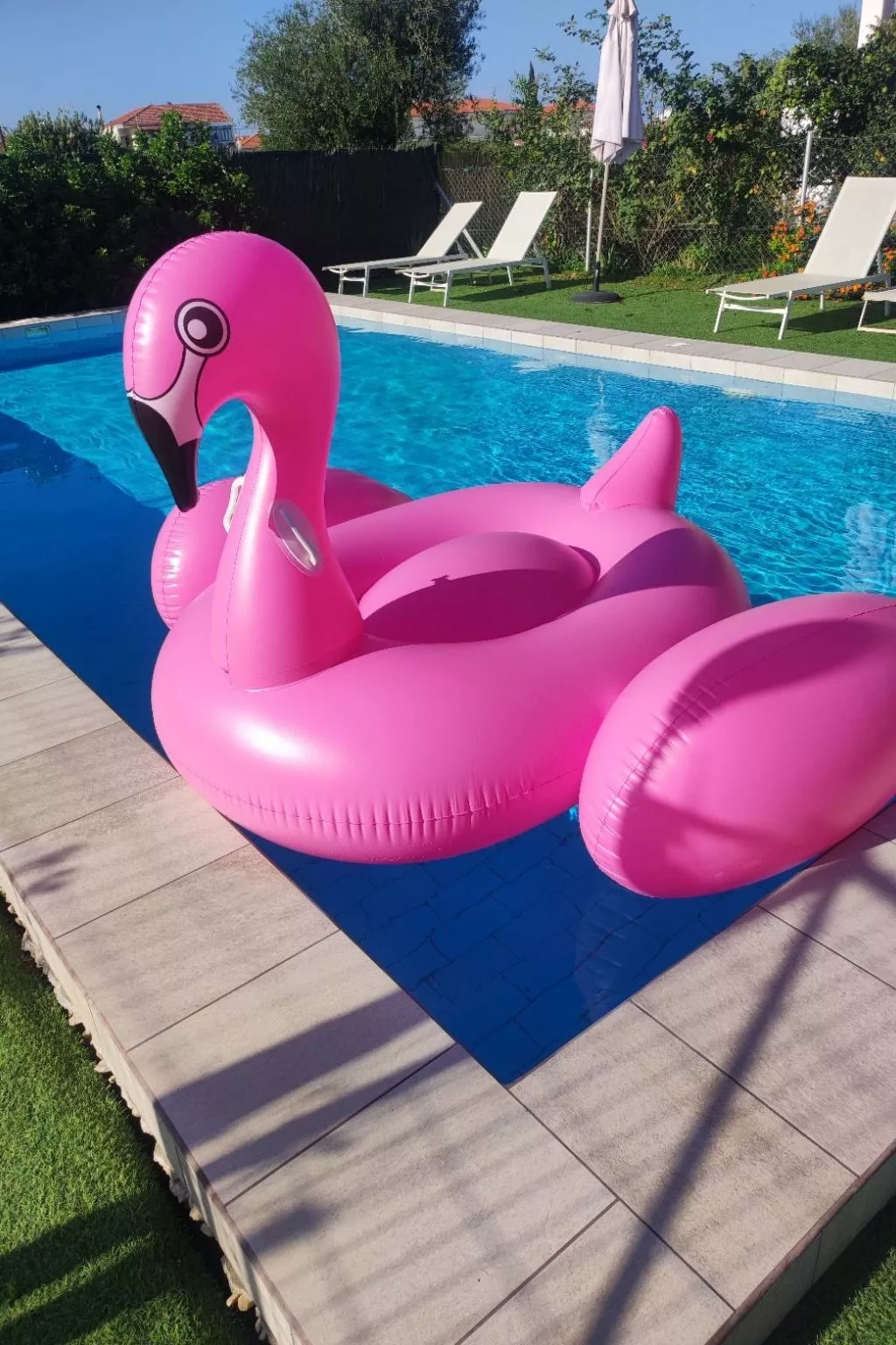 Neben Orangenbaum-Obstgarten-Image-tags.info