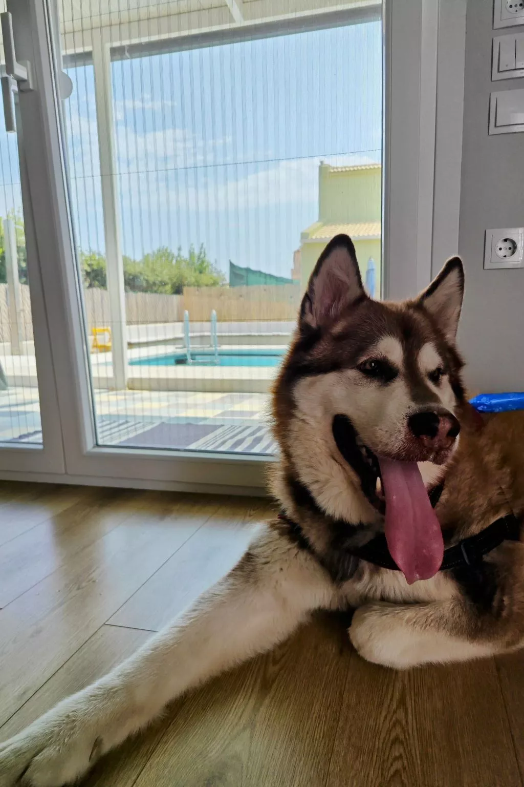 Kinderfreundliche Pool Villa 5p Seaside Beach Forest-Binnen