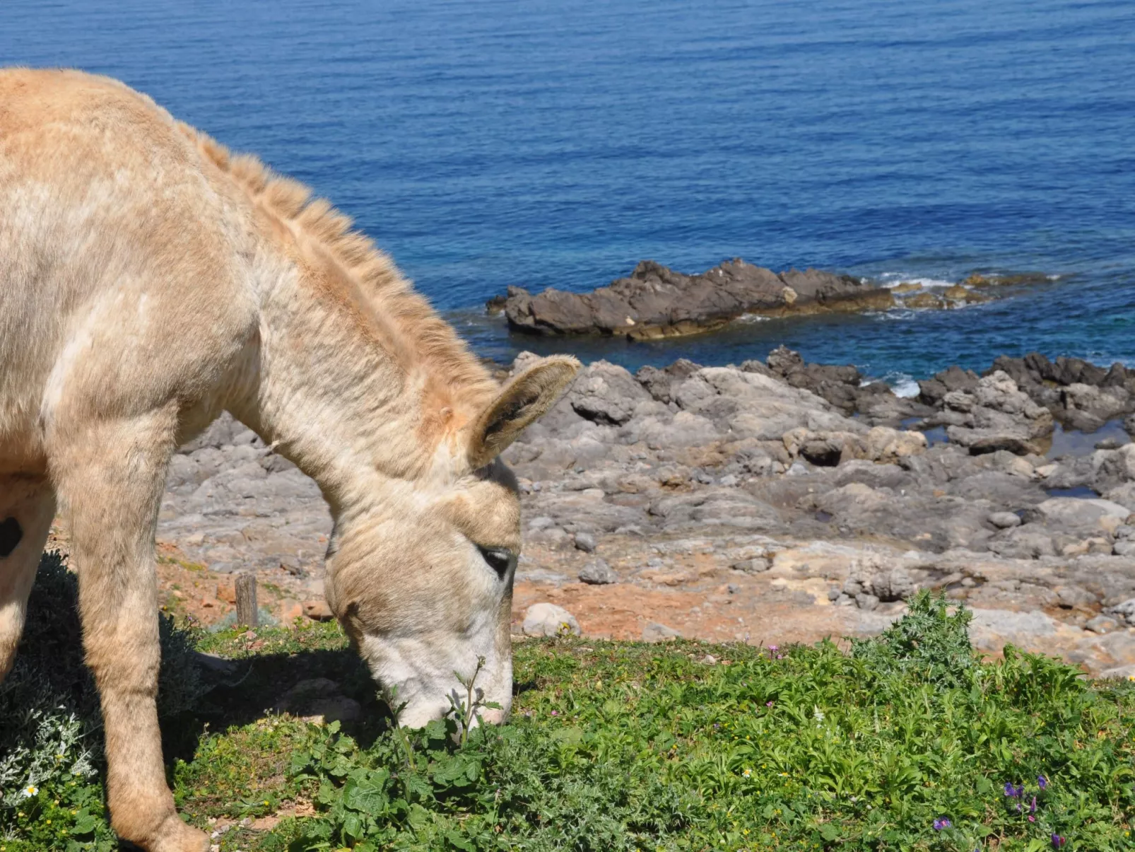 Marettimo' Wohnung in Strandnähe-Buiten
