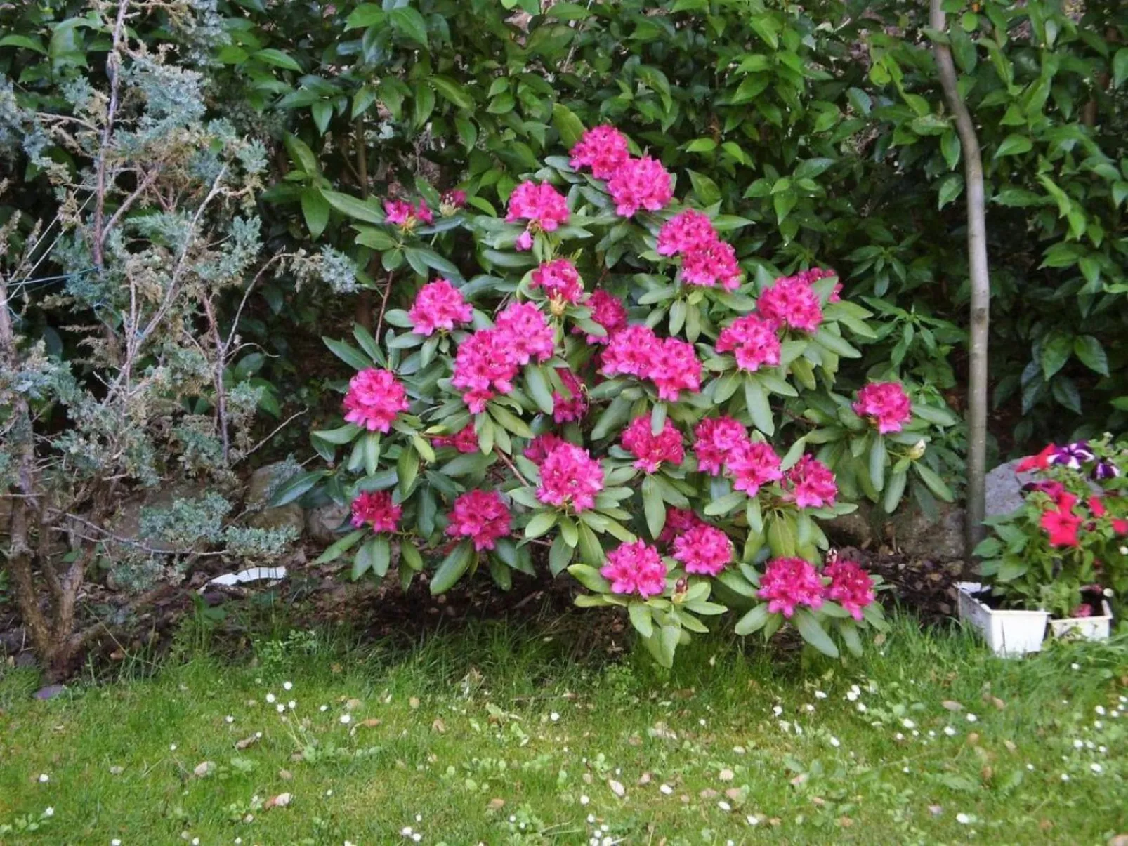 Landgut mit Garten, Grill und Terrasse-Buiten