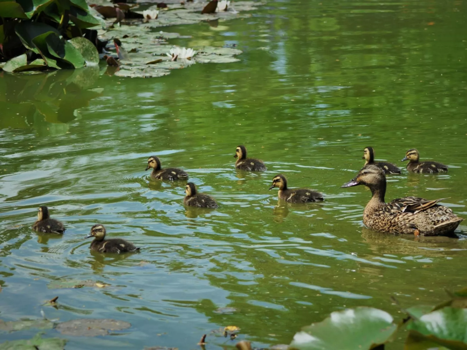 Für acht Personen-Buiten