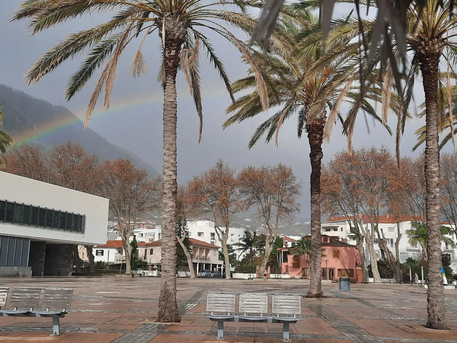 Sunny Beach Machico Wohnung-Buiten