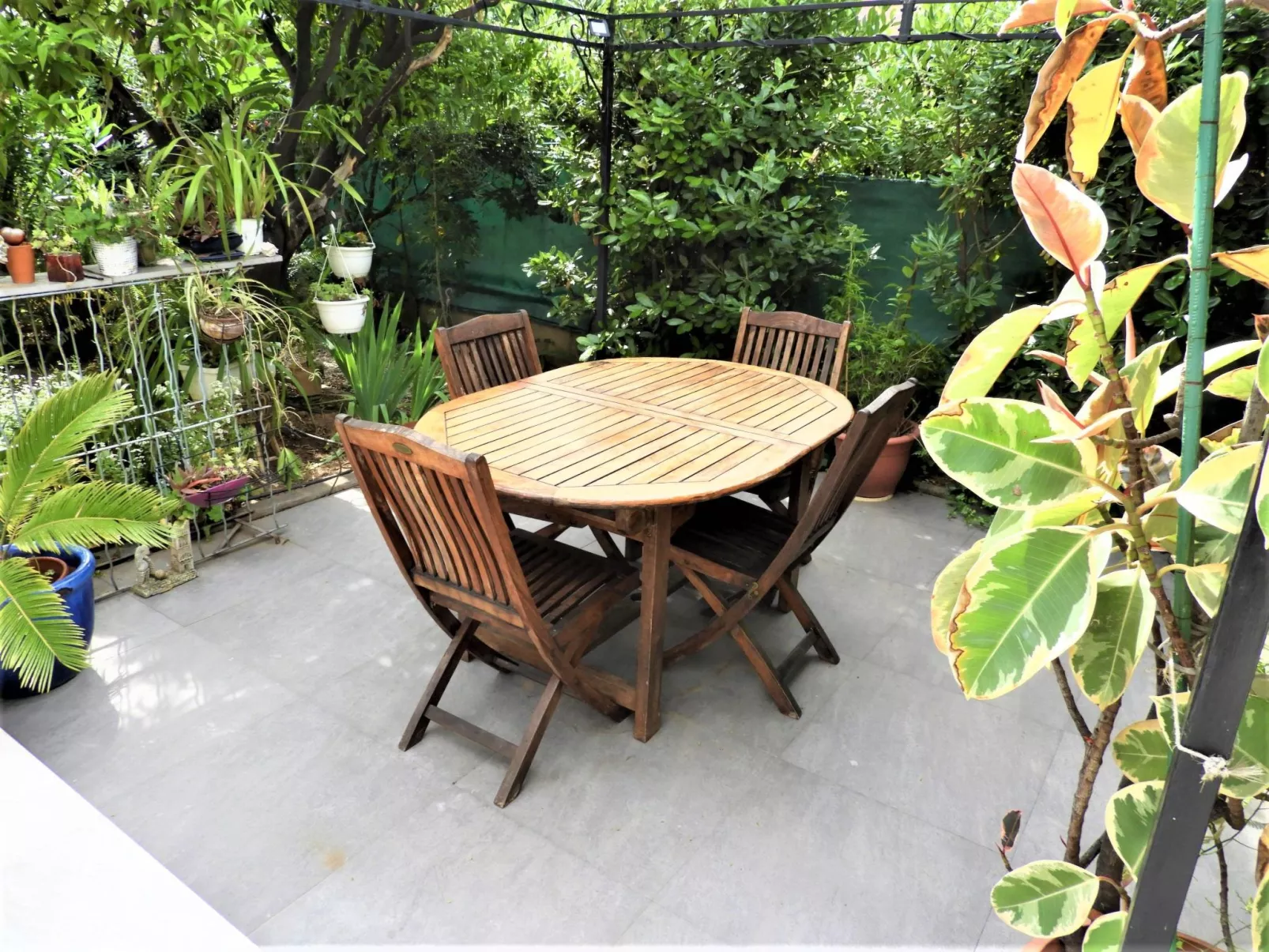 Wohnung "Les roses" auf einem eingemauerten Grundstück-Buiten