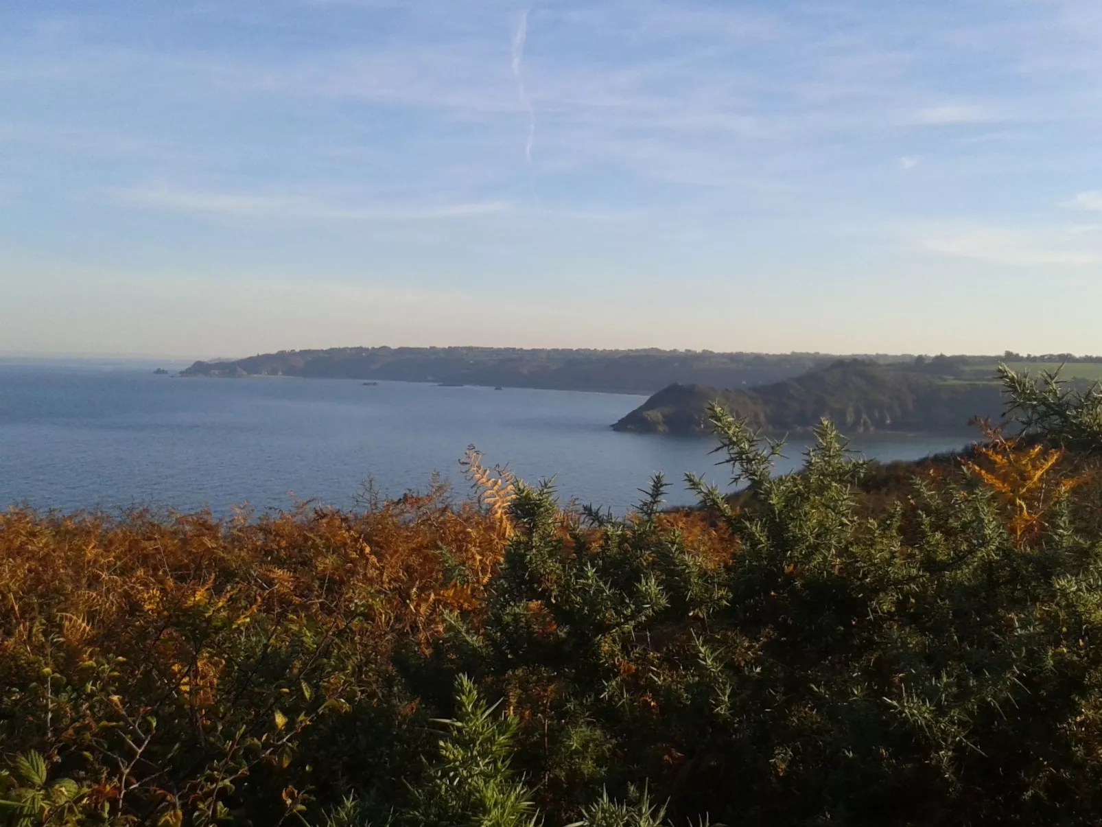 Chalet "gite du bois d'amour" (Hütte des Liebesholzes)