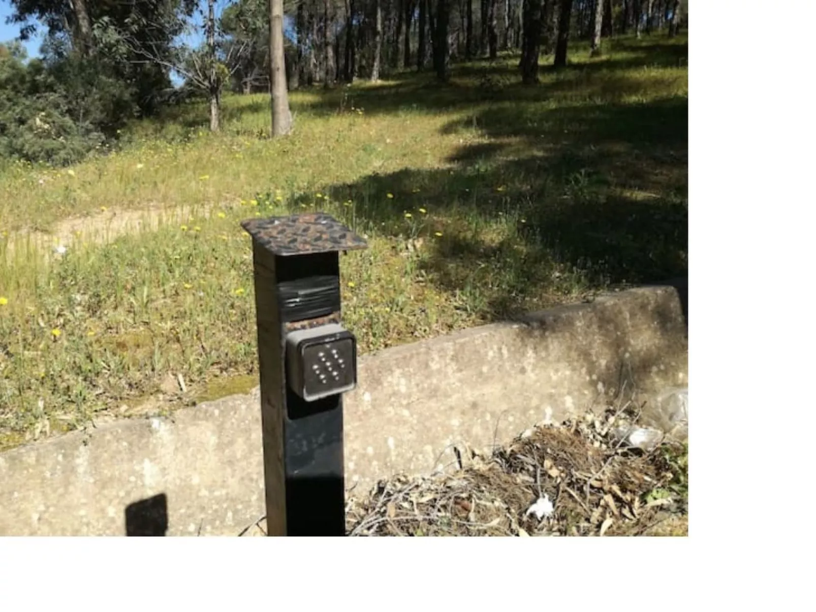 Villa Giancarla-Buiten