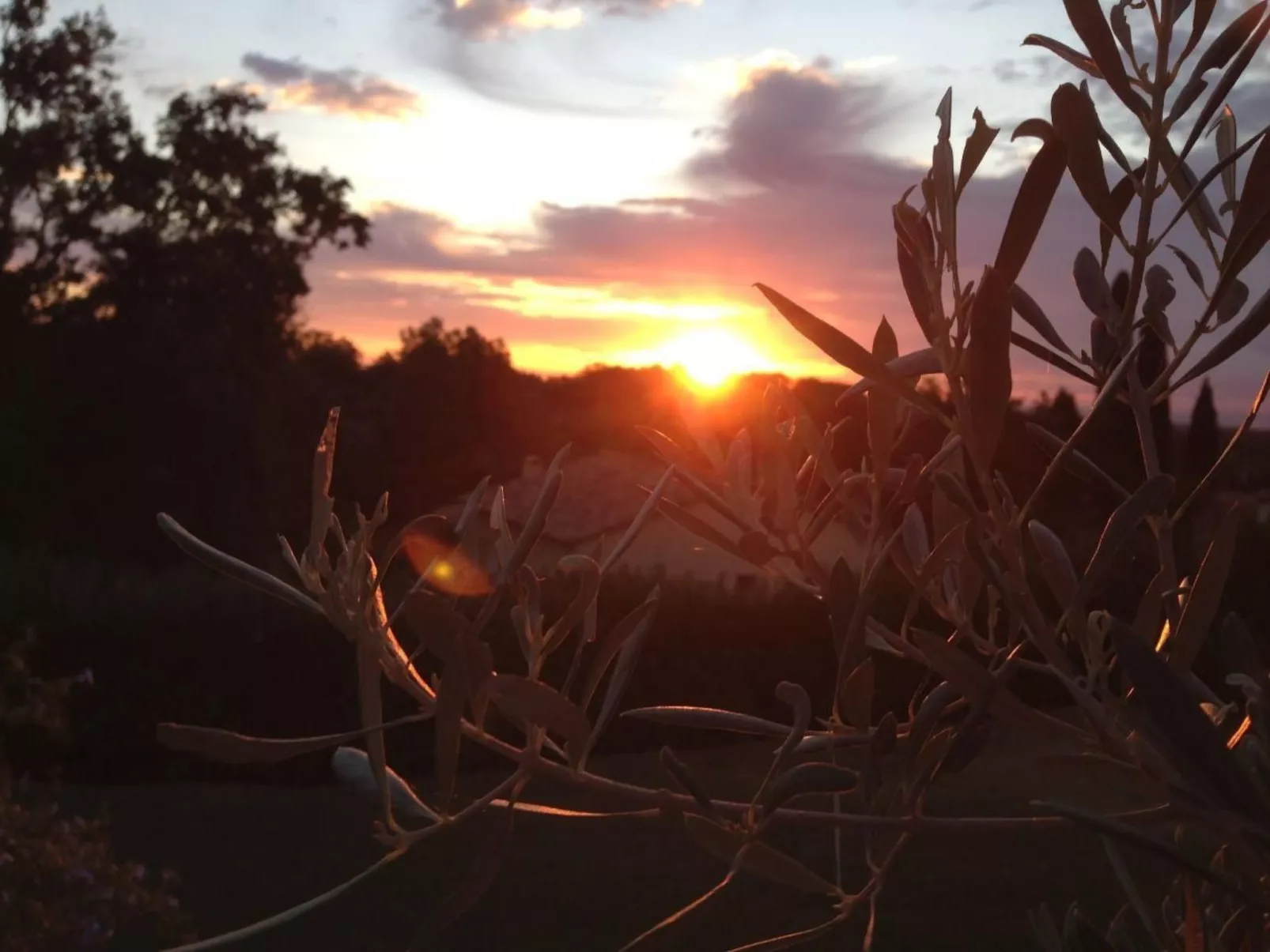Côte d'Azur ganze Villa beheizter Pool Meerblick
