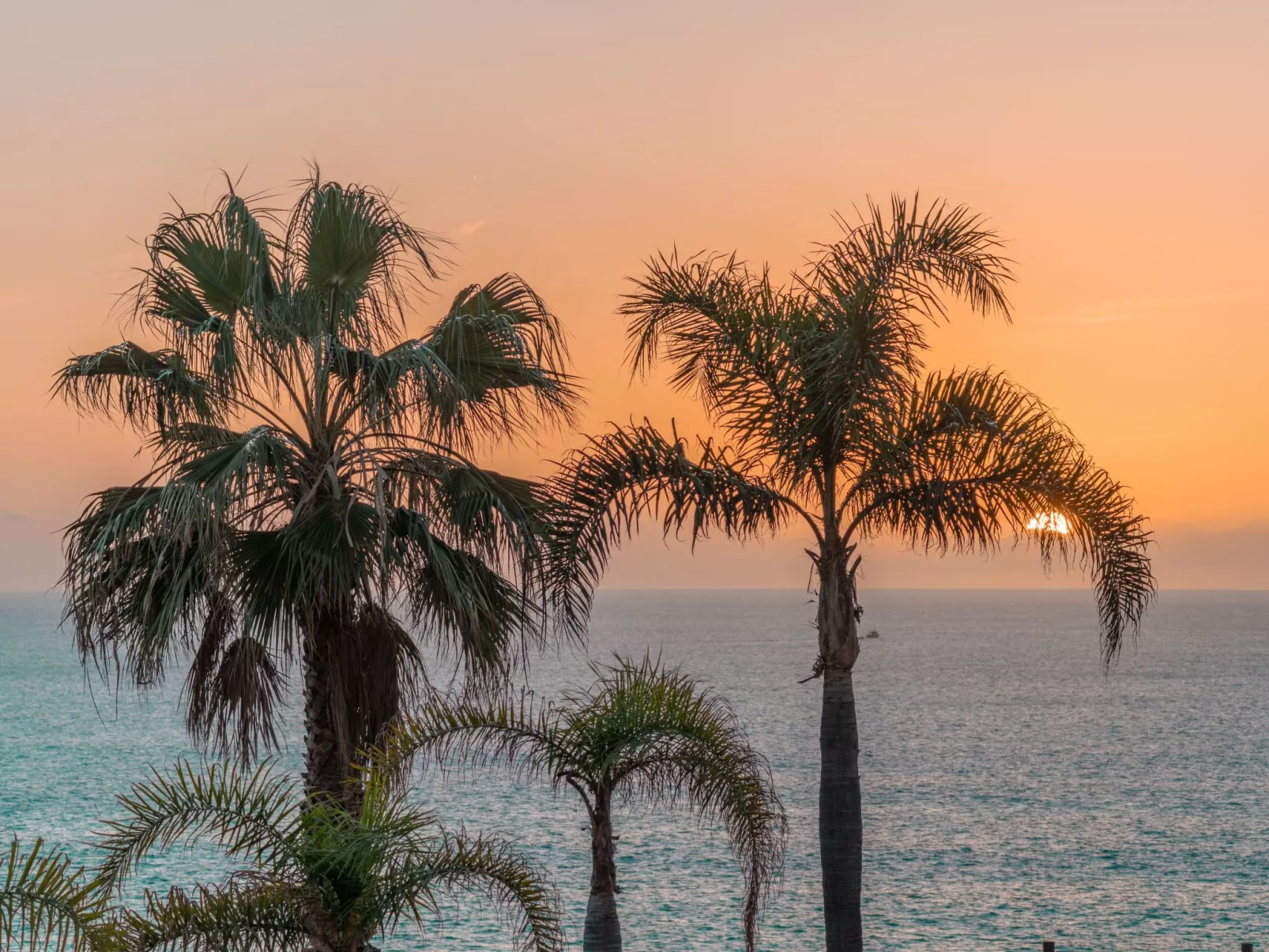 Wohnung "Madeira Palace Erste Linie"-Buiten