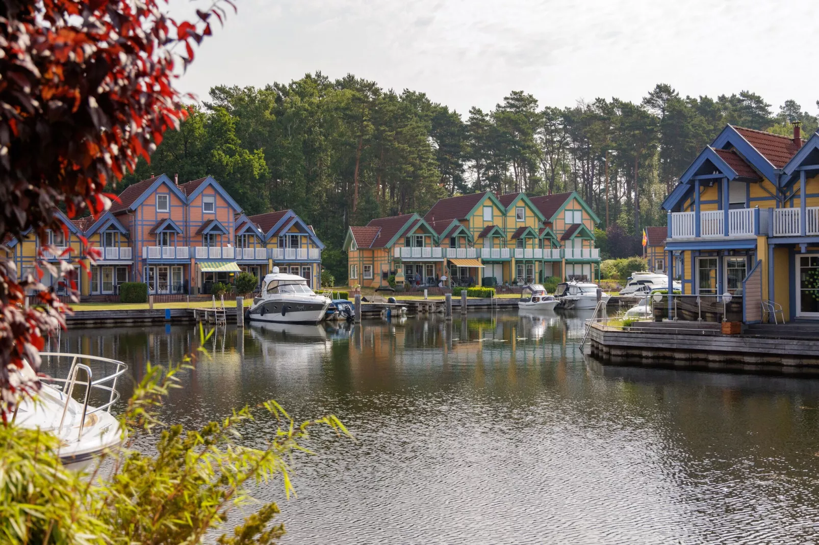 Hafendorf Rheinsberg 1-Gebieden zomer 1km