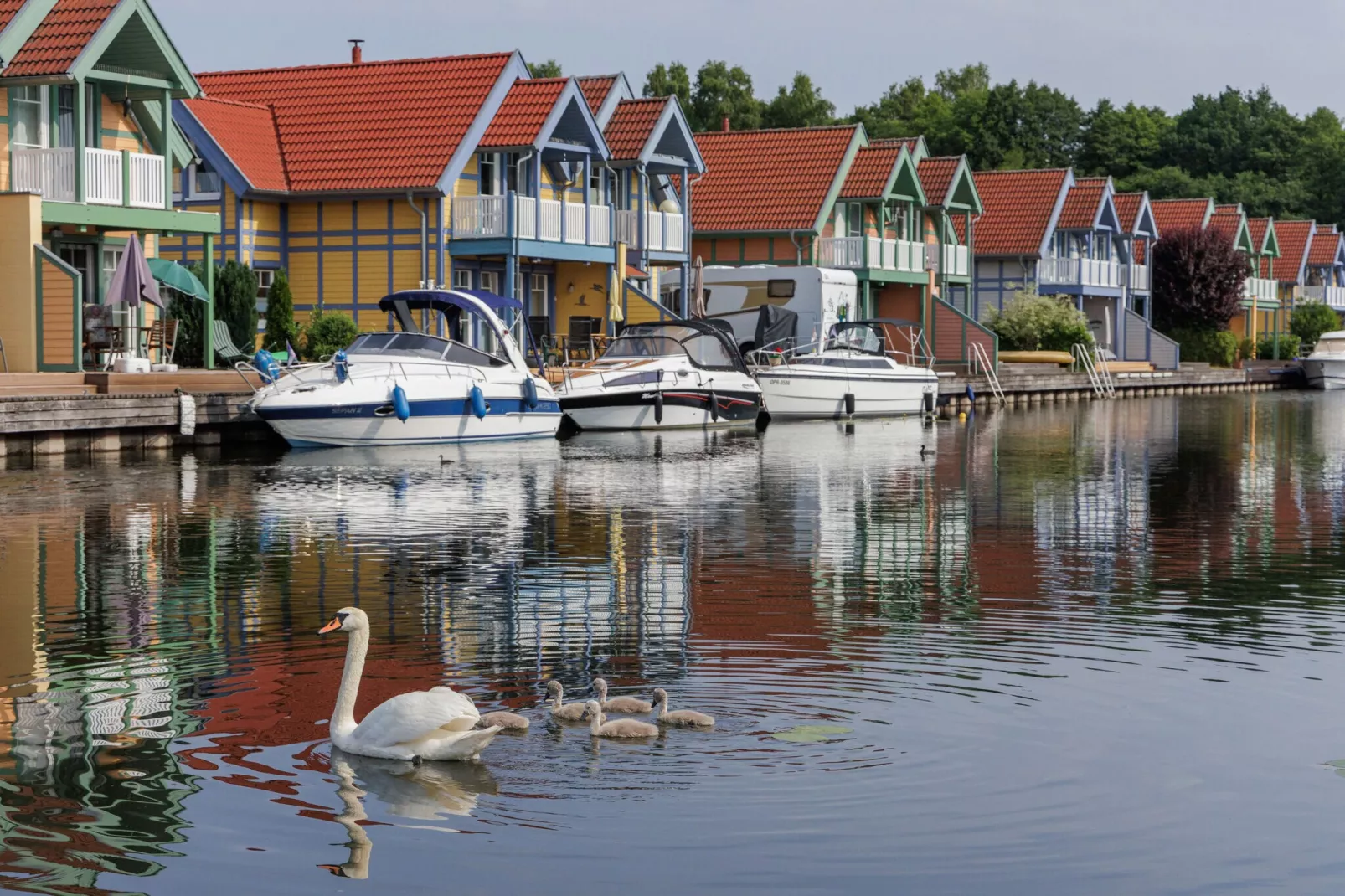 Hafendorf Rheinsberg 1-Gebieden zomer 1km