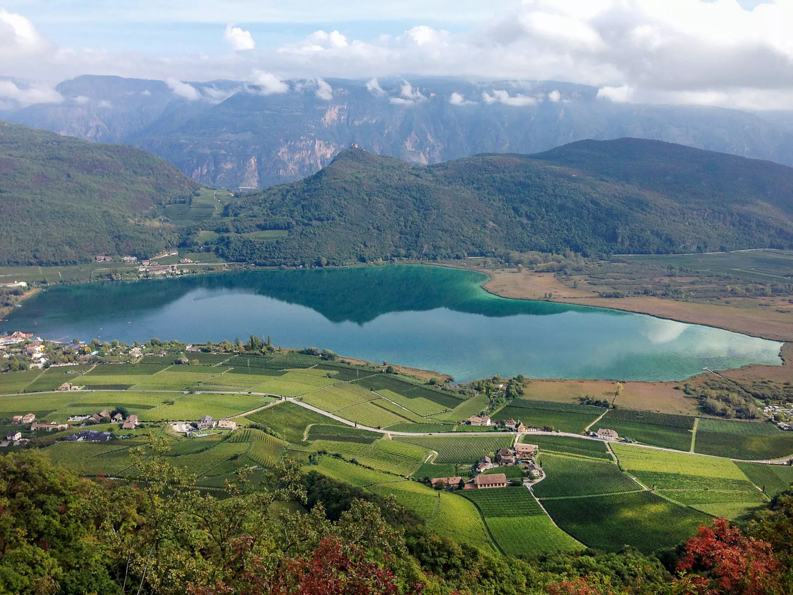 Residence Olivi - Luxury Apartment Penthouse-Omgeving