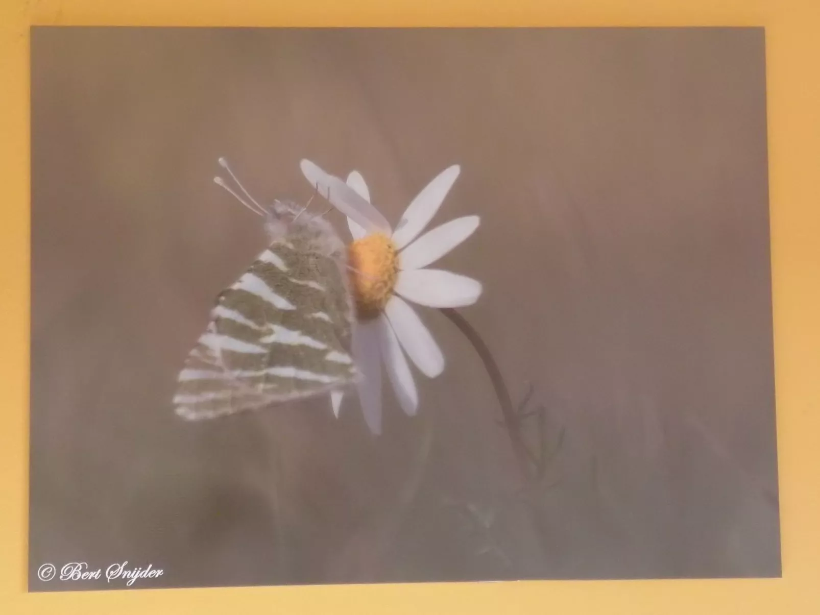 Monte Horizonte Casa Sobreiro Eco und Na-Image-tags.info