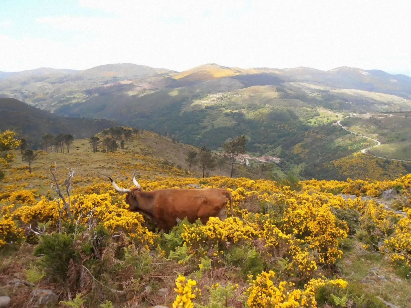 "Großvaters Häuschen" mit Kamin-Image-tags.info