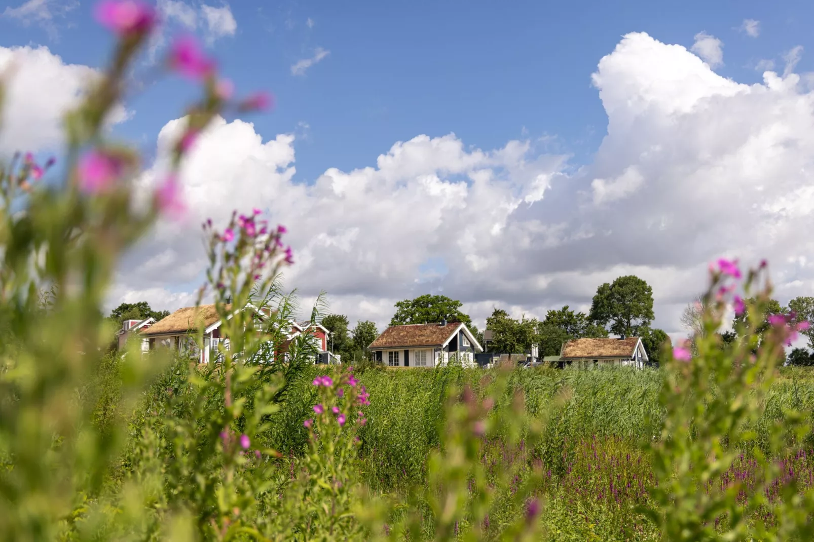 Hansapark Resort am Meer 1-Gebieden zomer 1km