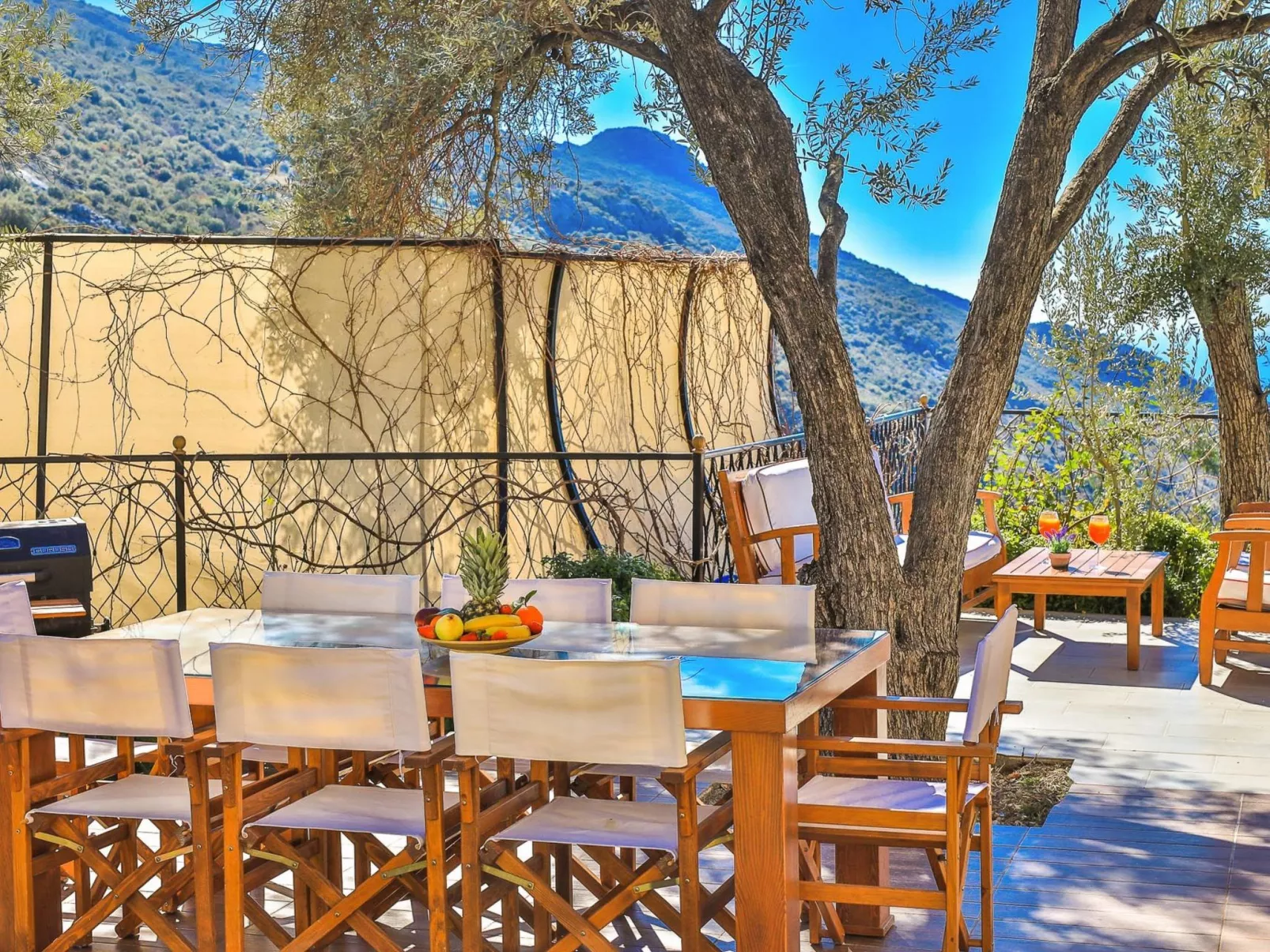 Steinhausvilla in der Natur