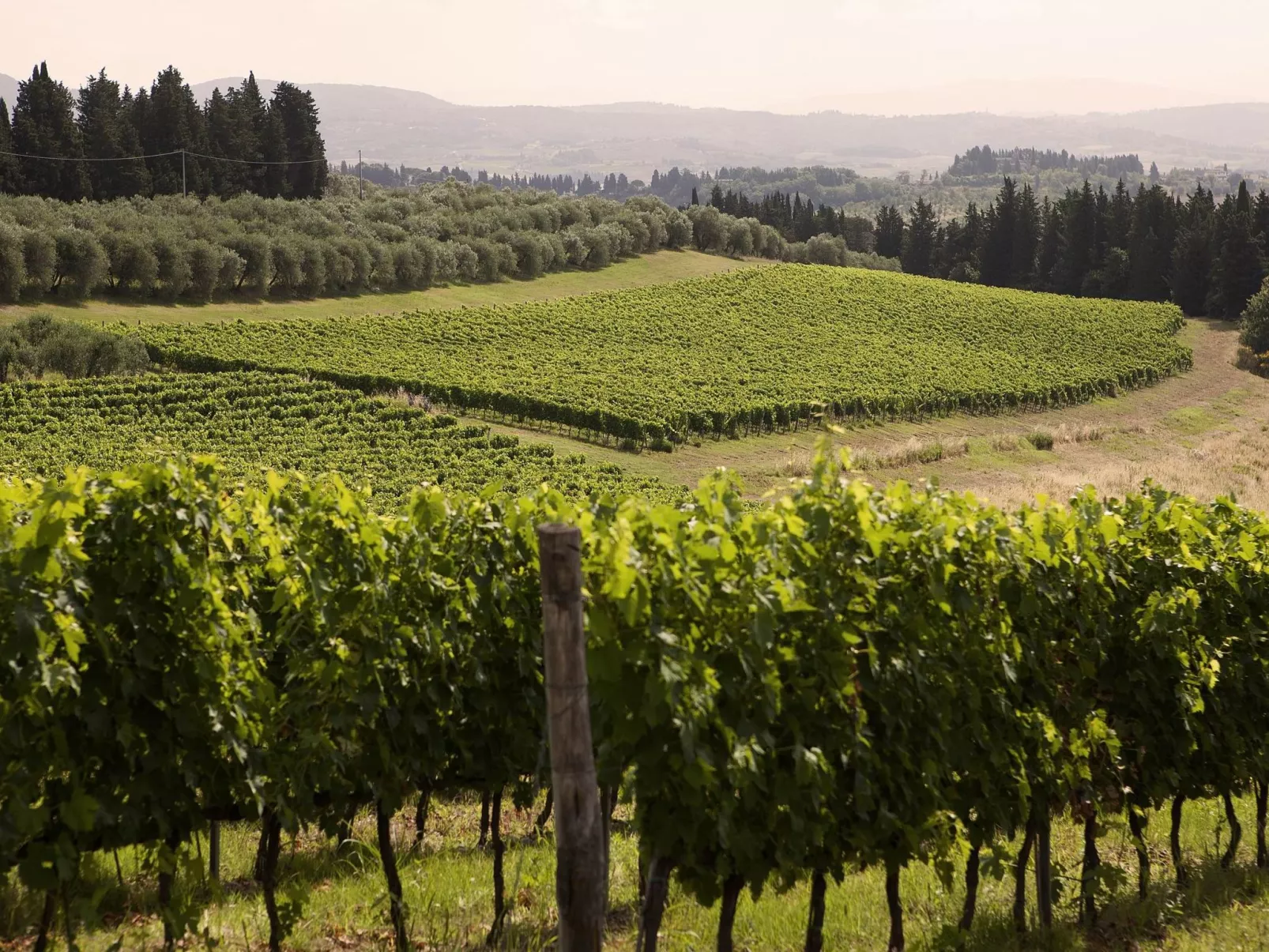 'Pini capponi' mit Pool-Buiten