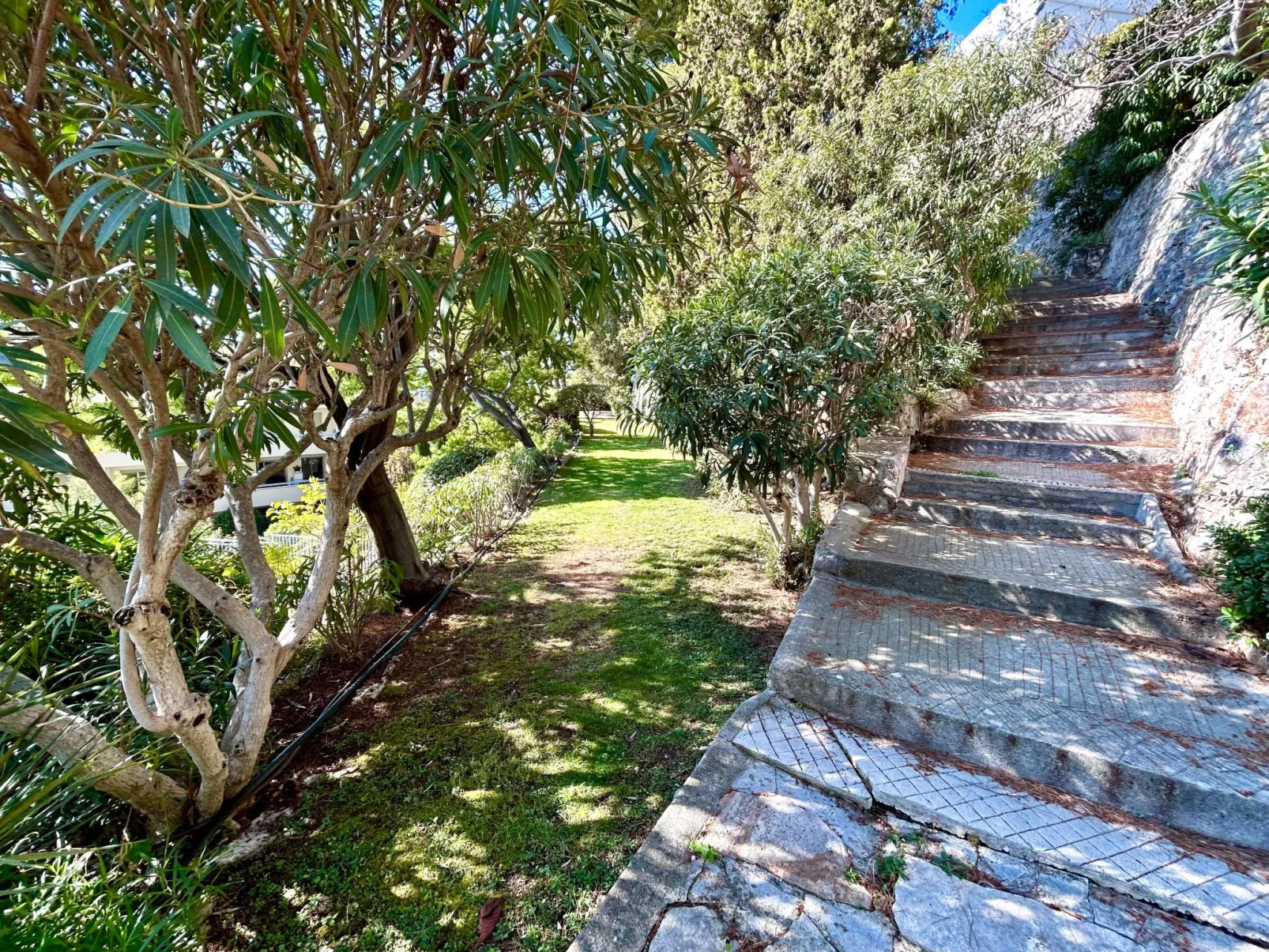 Le Panomagique-Buiten