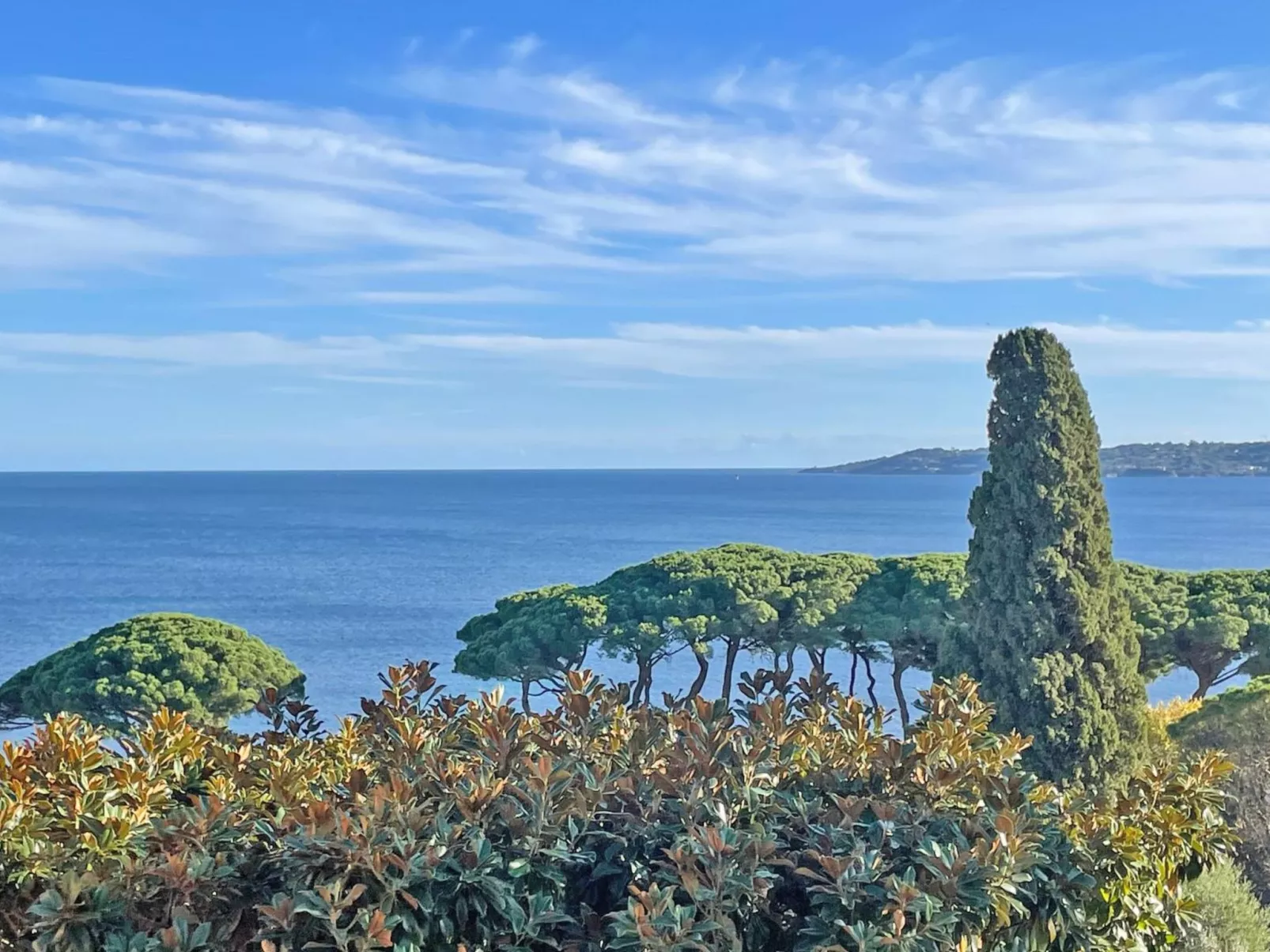 Studio 2/4 Pers - Vue Mer - Climatisation