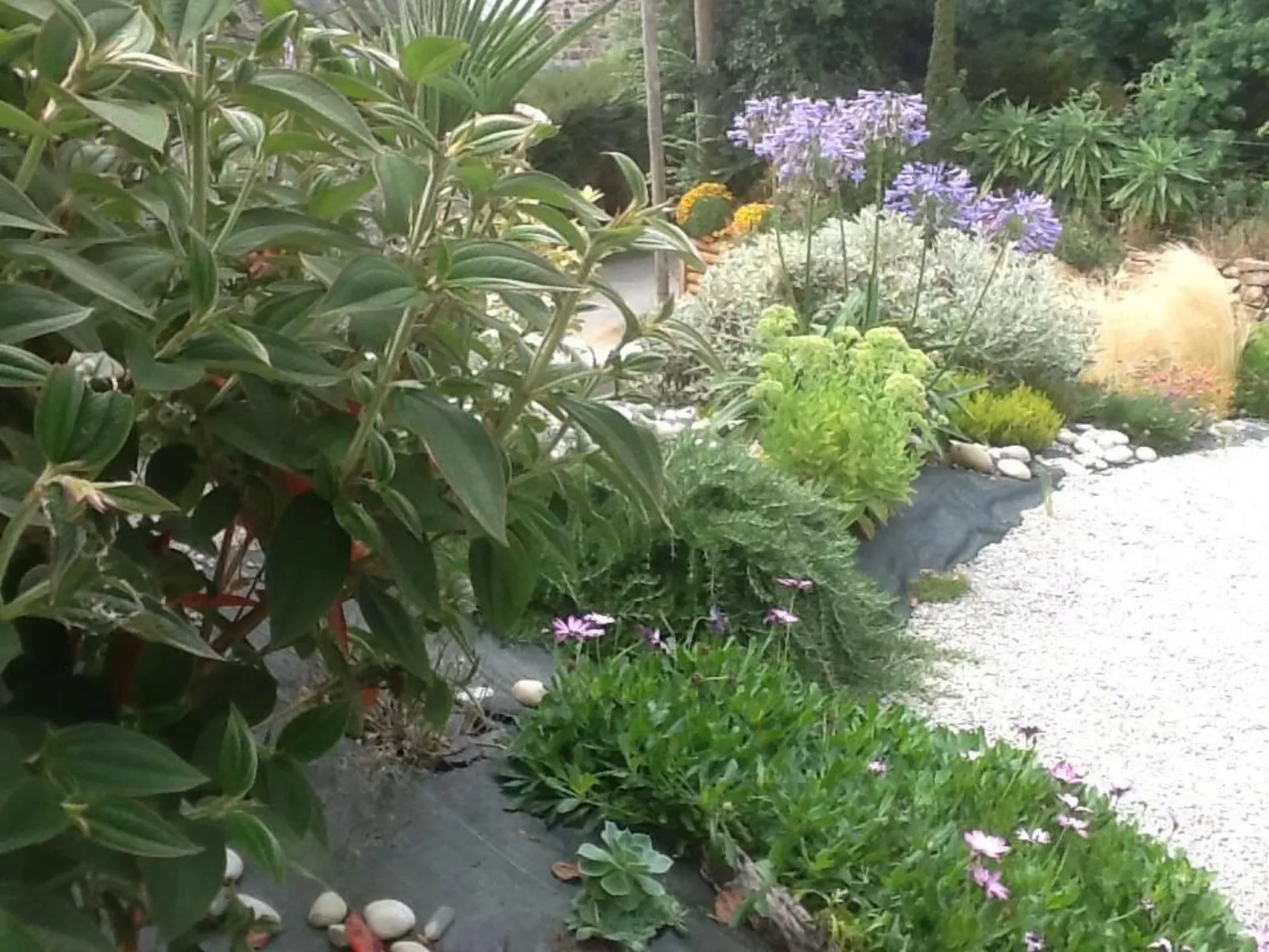 Mit Blick auf das Wasser-Buiten