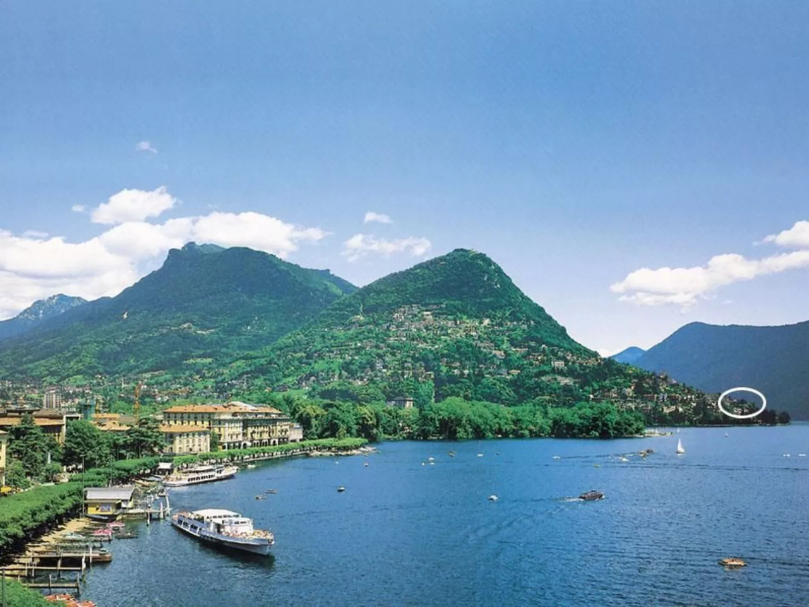 Agave-Image-tags.info