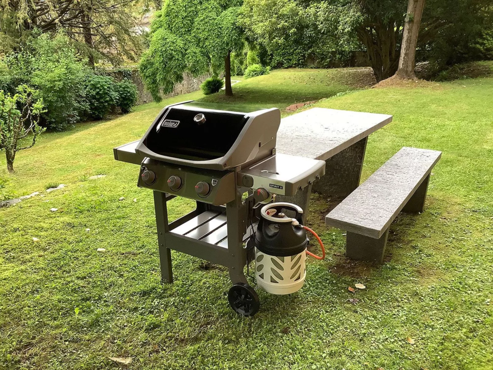 3.5-Zi.-Ferienwohnung mit privatem Seeanstoss