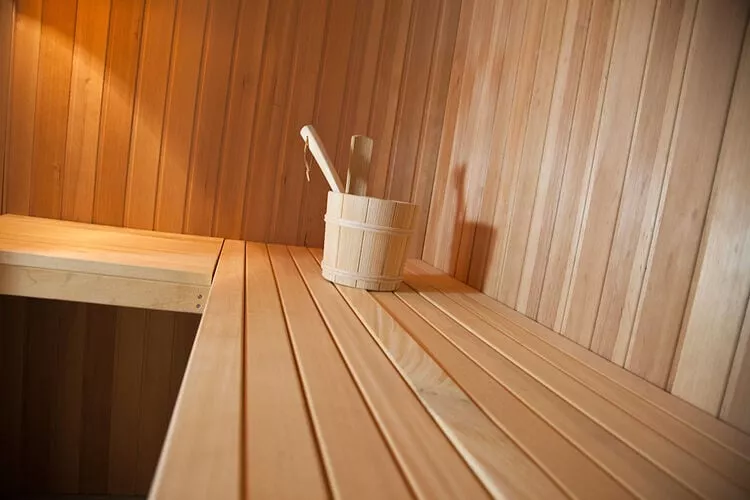 FH Wildgans Comfort mit Sauna & Kaminofen 81 qm-Sauna