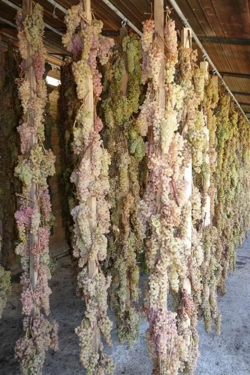 Schloss Selvole B4-Image-tags.info