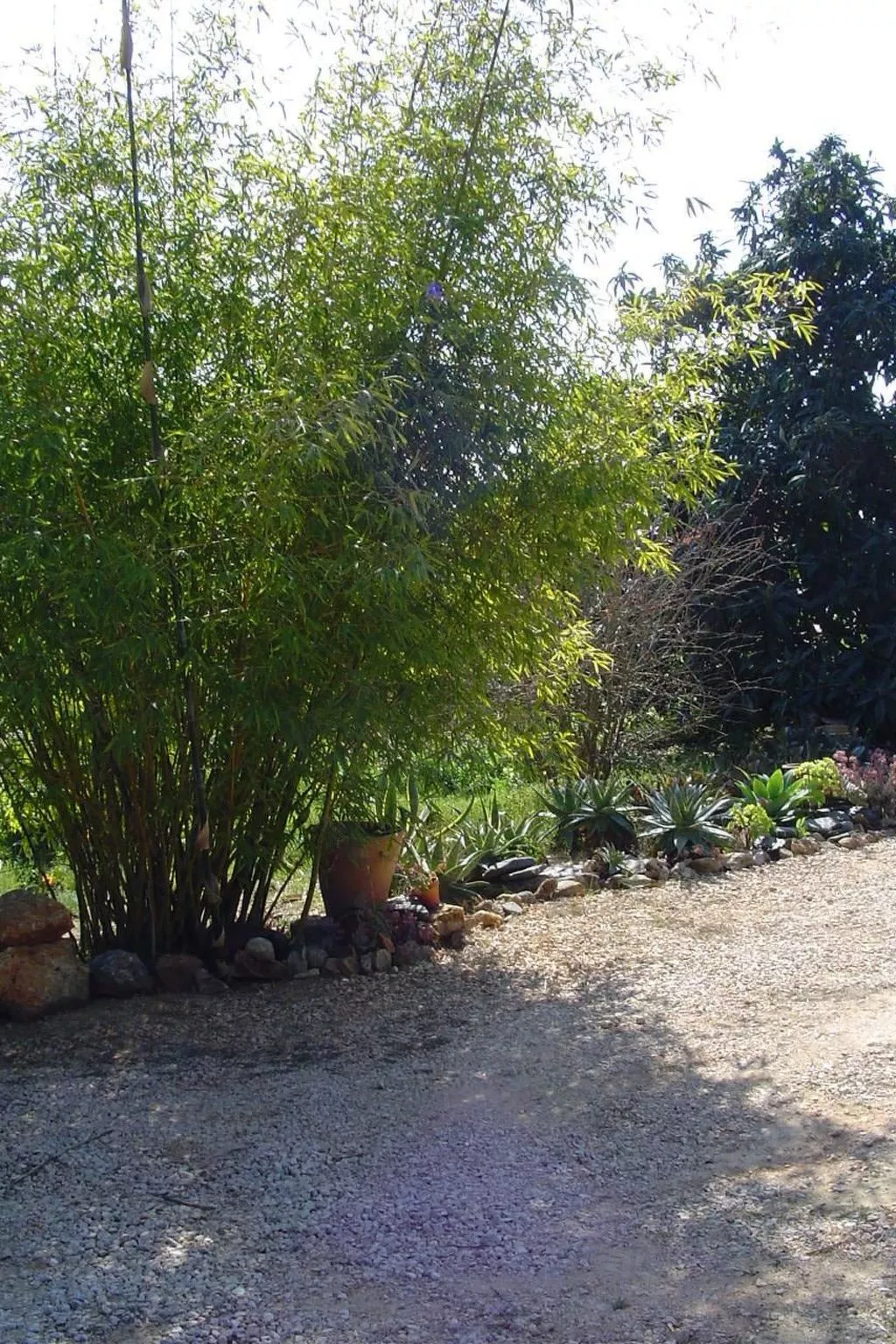 "Quinta do Sol" mit Kamin-Image-tags.info