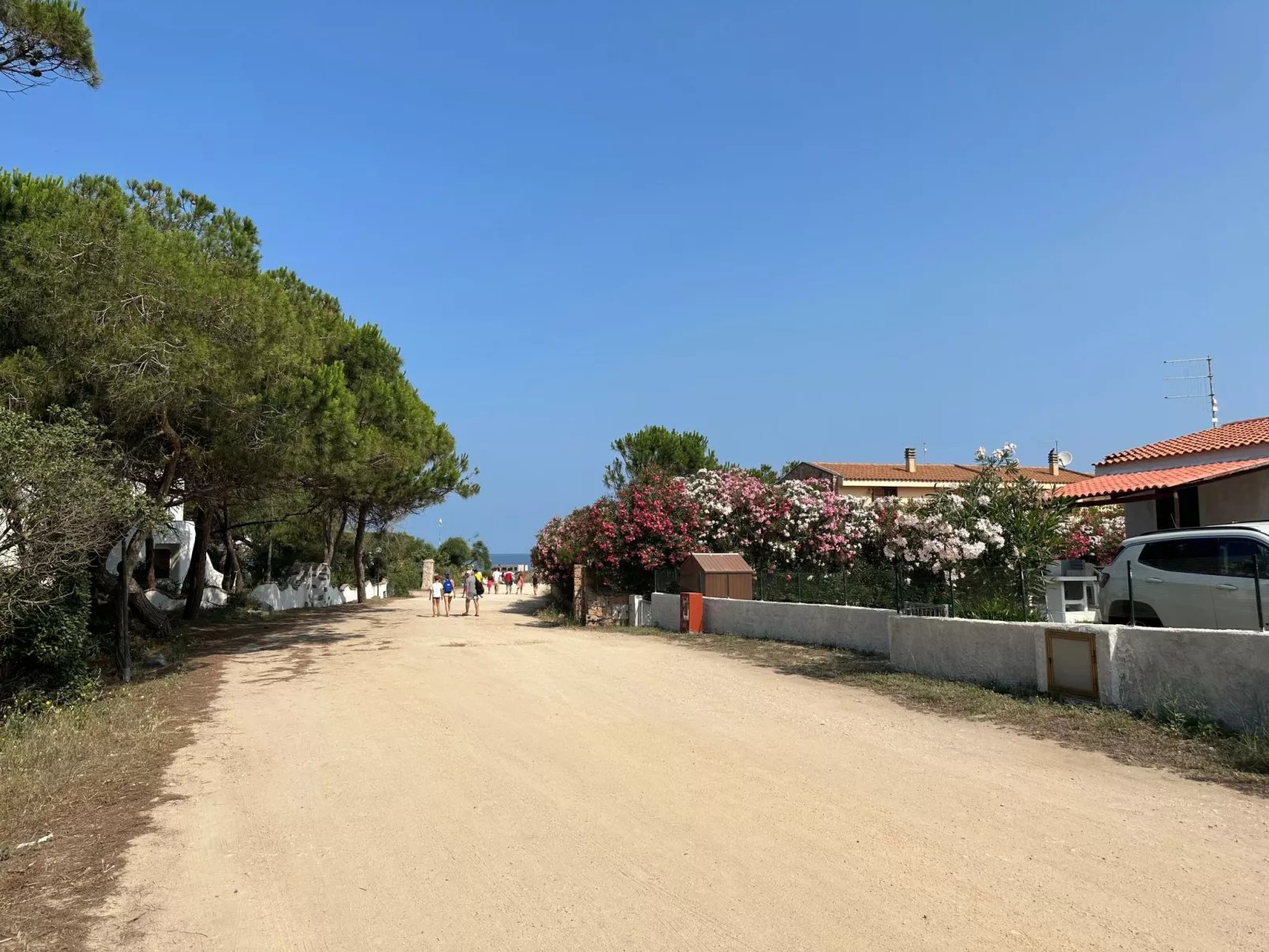 'Magnolie-Image-tags.info