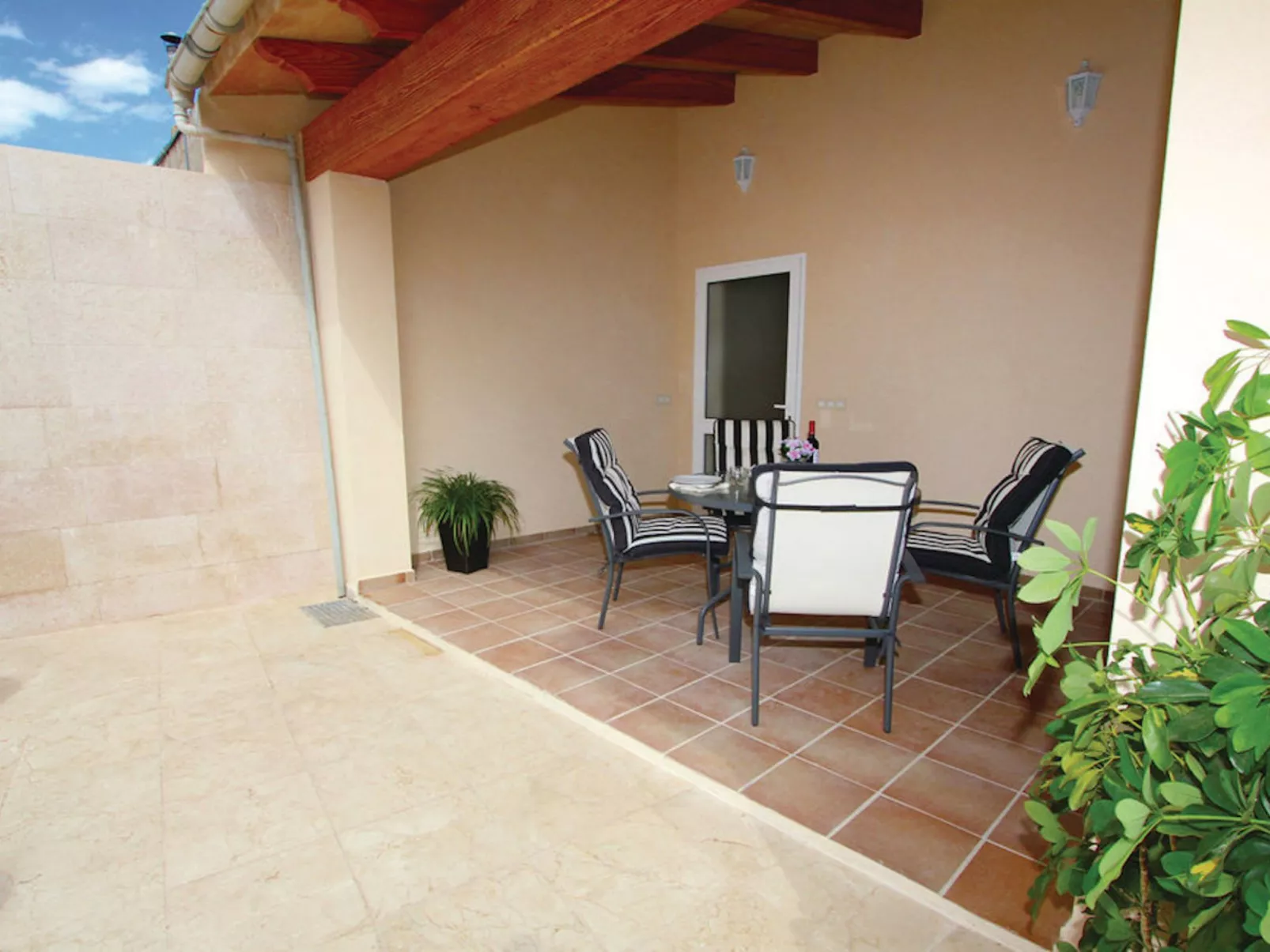 Ribot-Image-tags.info