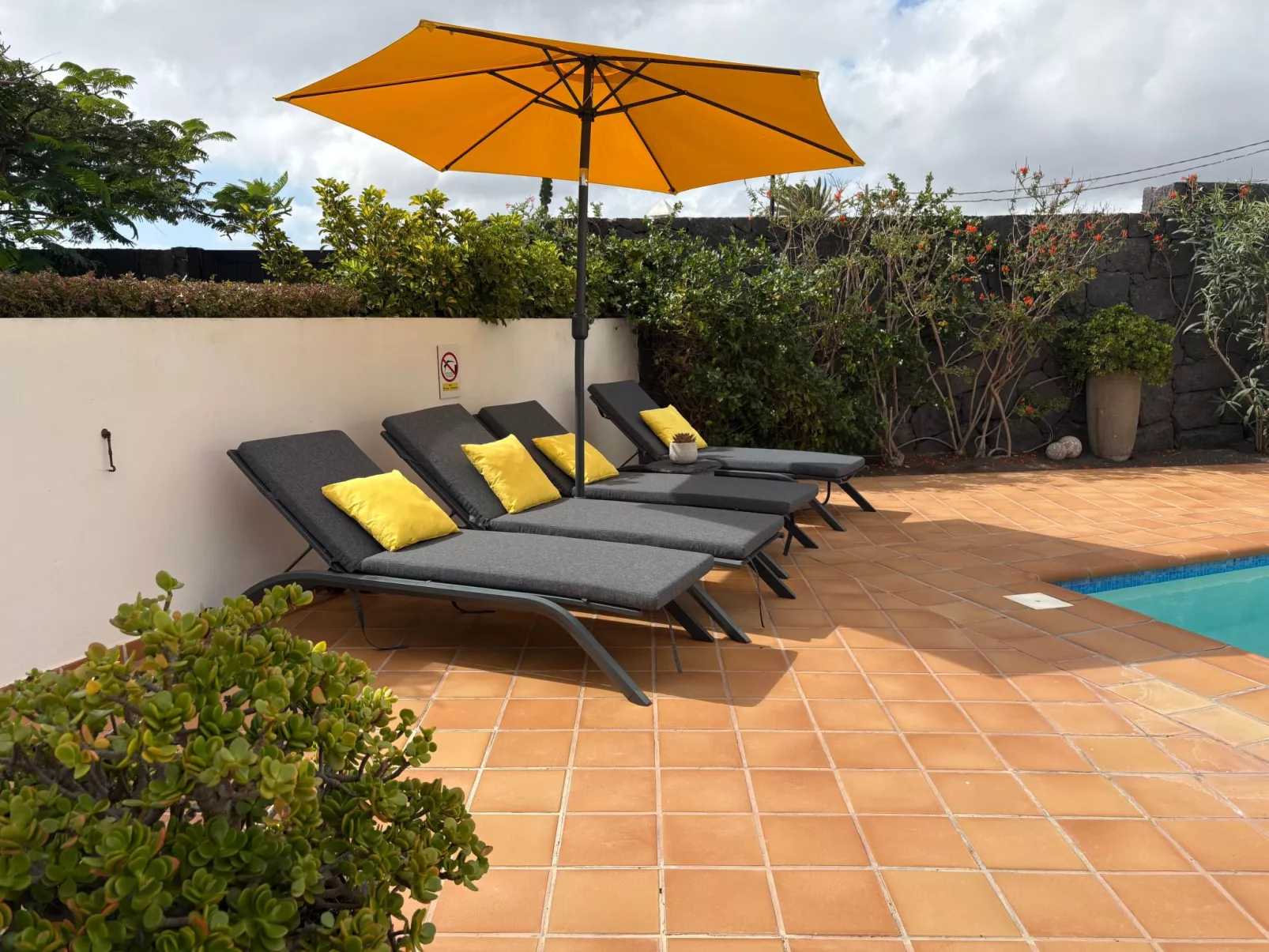 Casa Árbol del Fuego-Buiten