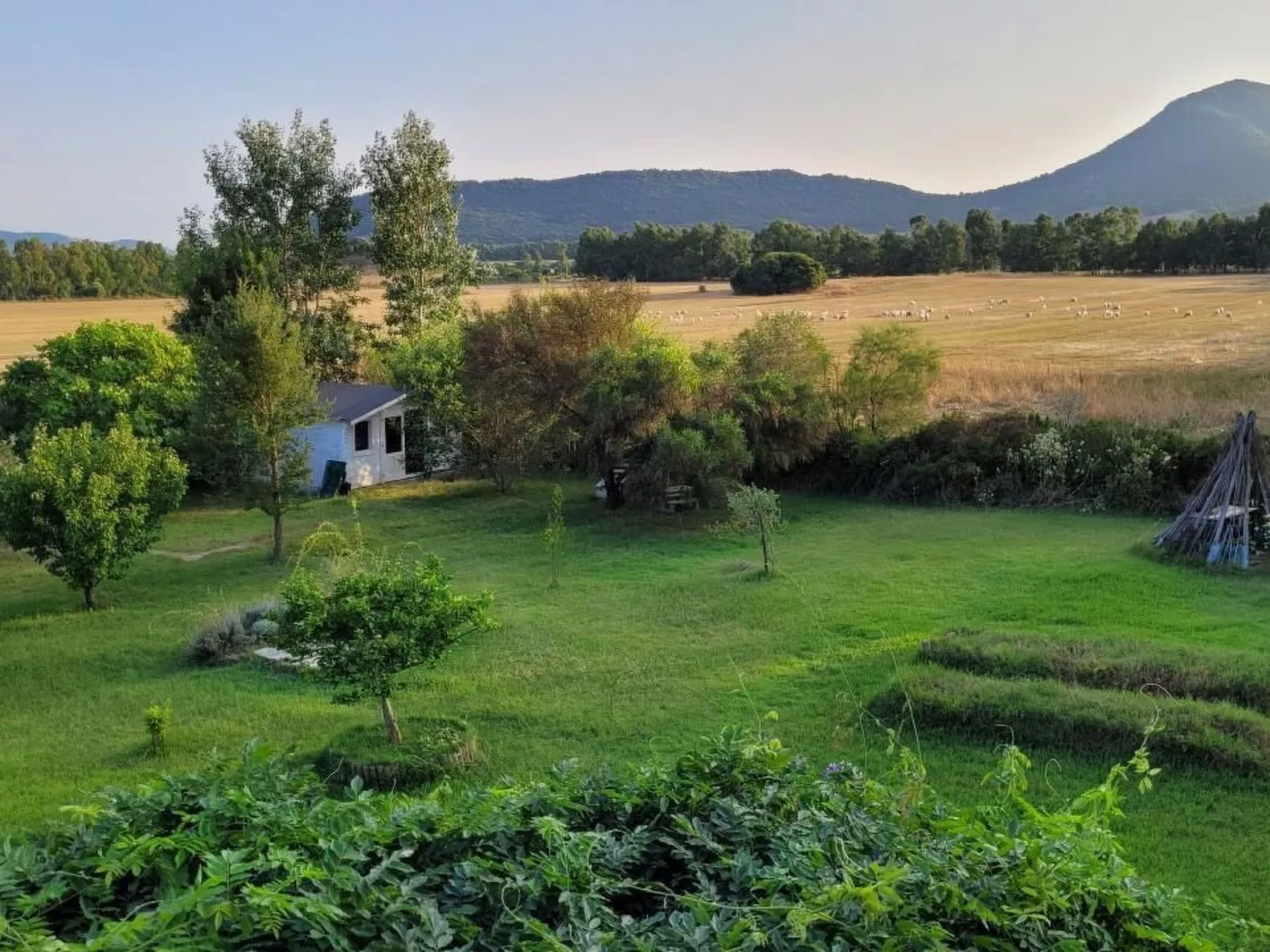 Su Sole de Barega-Image-tags.info