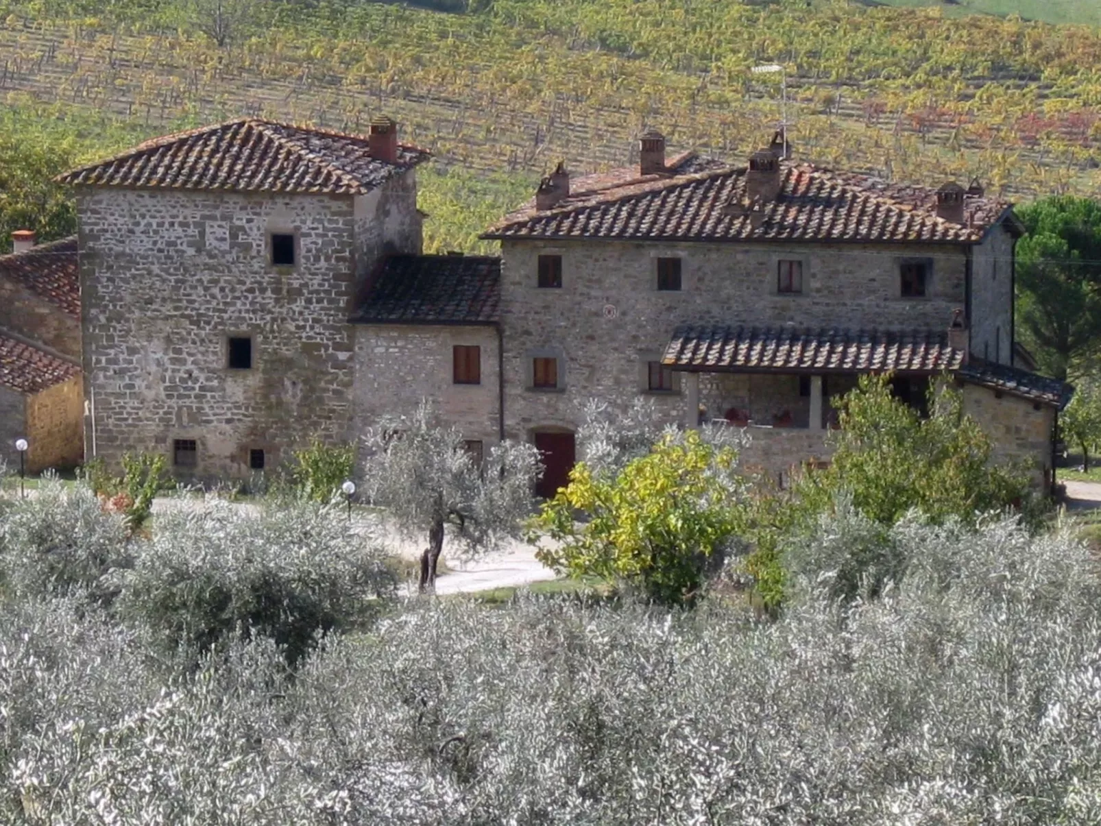 Wohnung Le Botti-Buiten