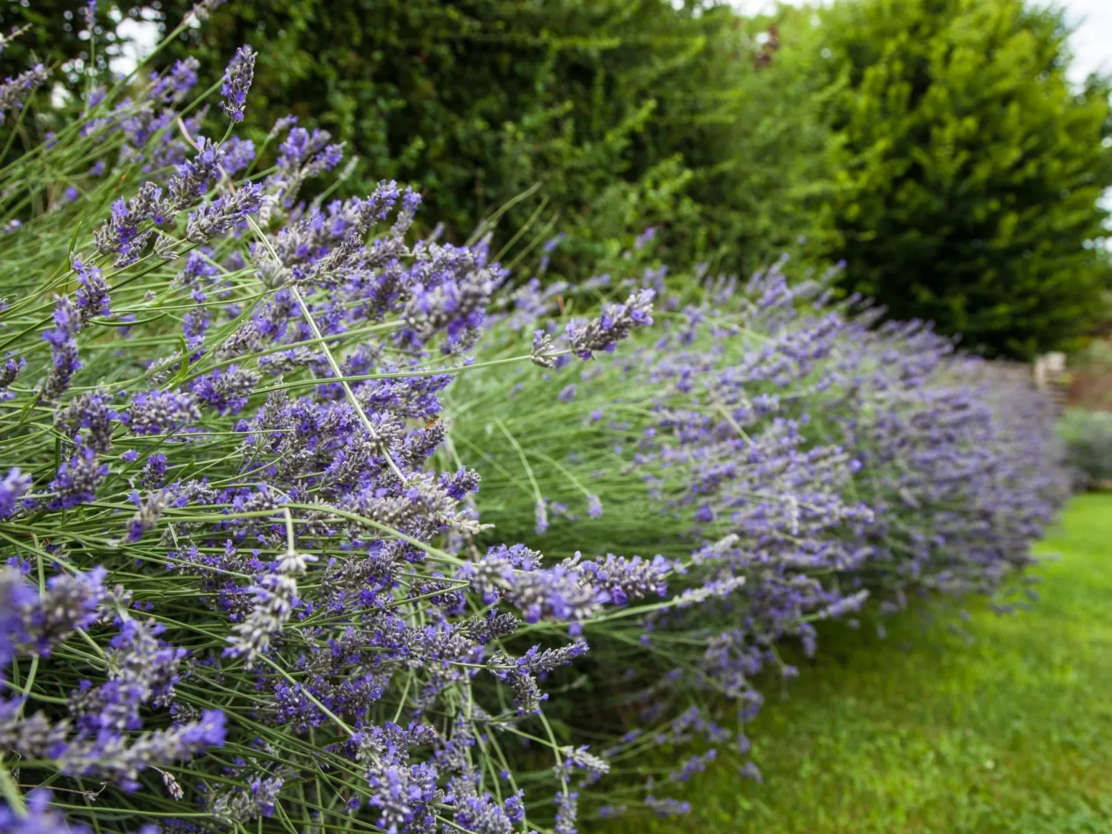 Wohnung im ersten Stock-Buiten