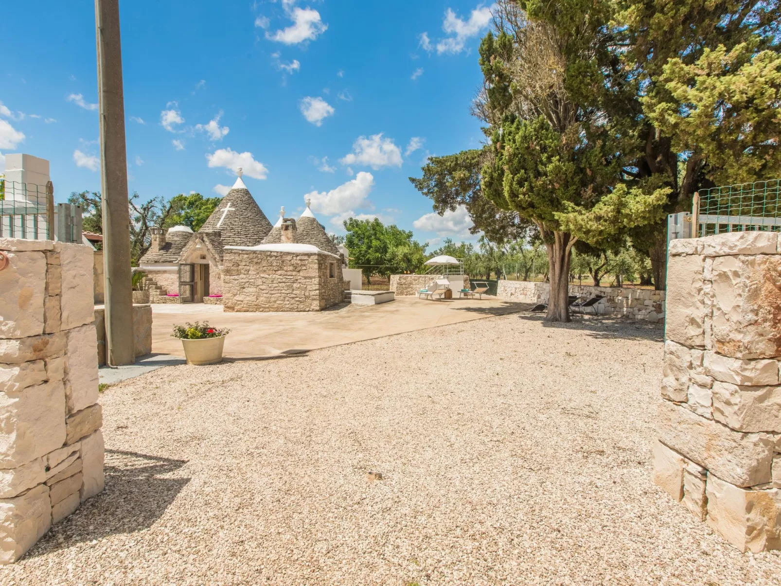 Trullo die Riesenpappel