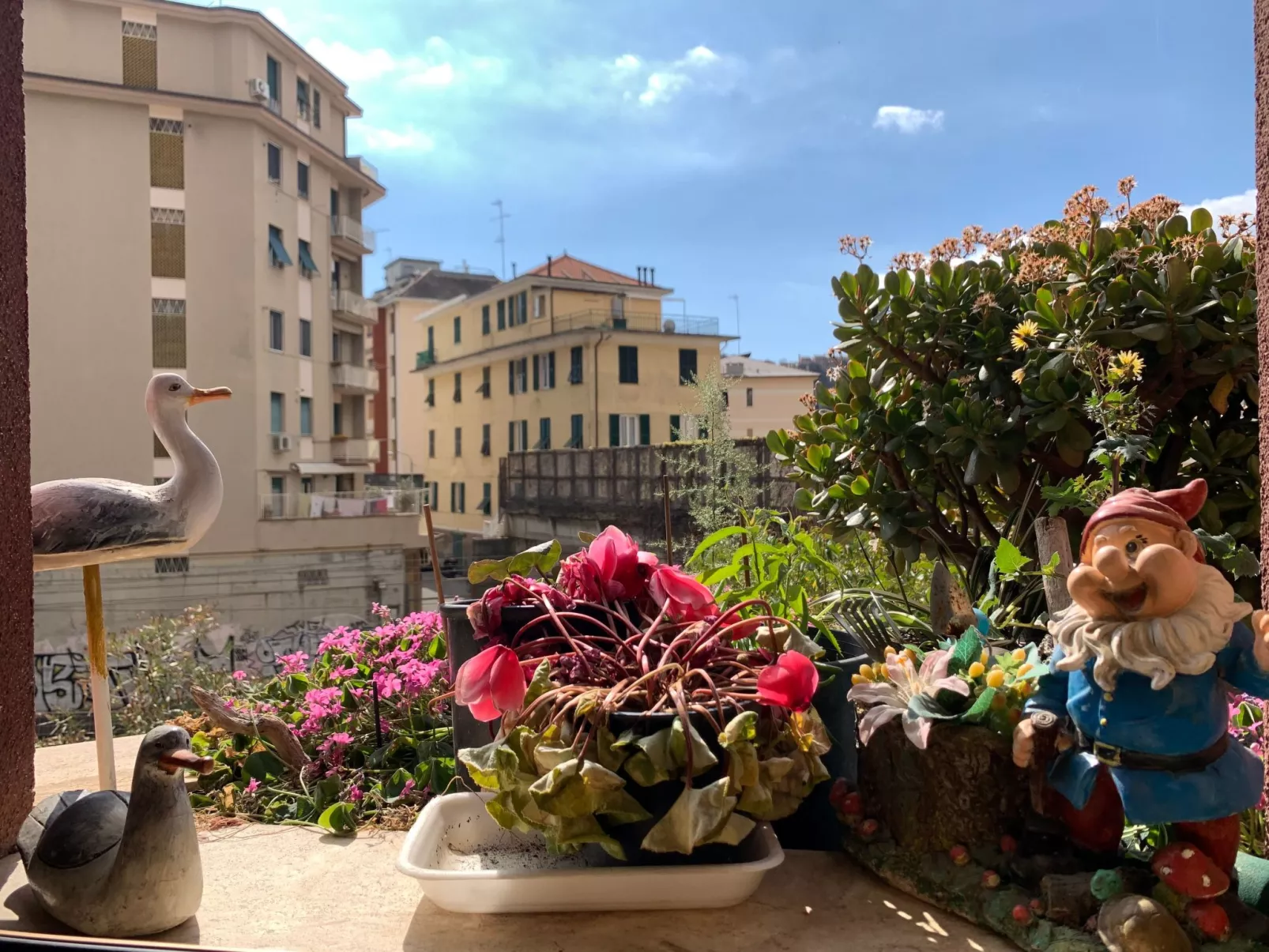 Wohnung 'Seagull House-Buiten