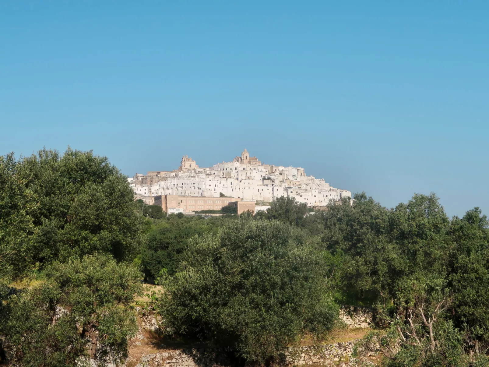 11 Trulli in Martina Franca mit privatem Pool-Omgeving