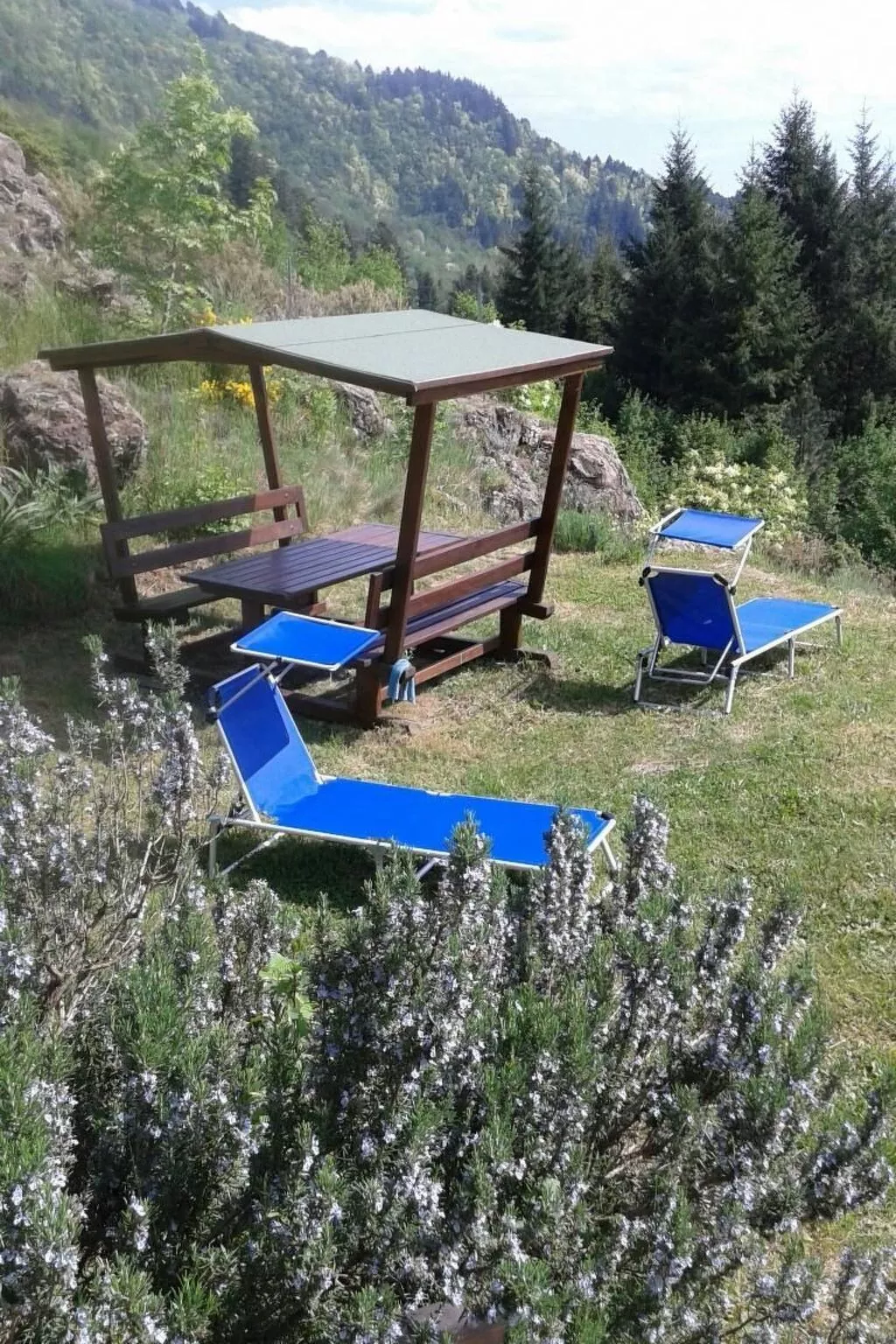 Wohnung in Borzonasca mit Garten und Grill