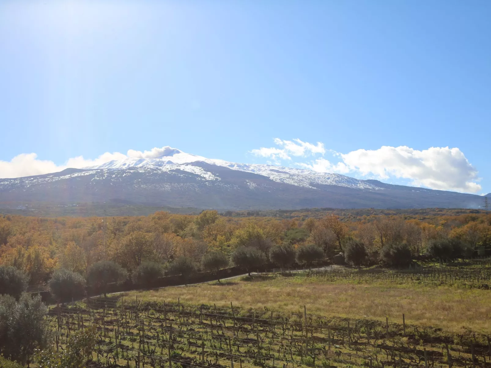 Villa Alloro" inmitten der Nerello-Mascalese-Reben