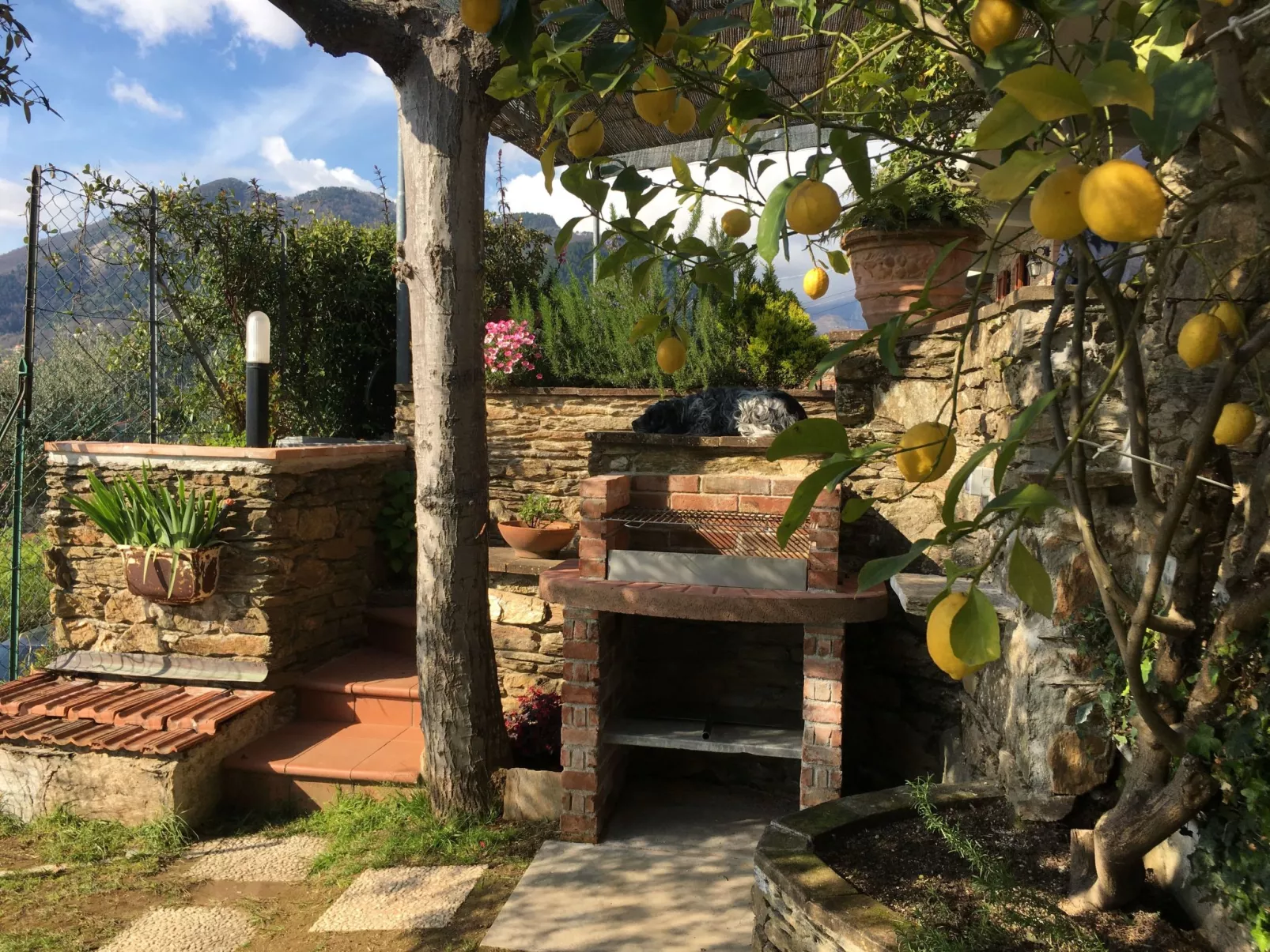 Wohnung 'Gelsomini' mit Meerblick