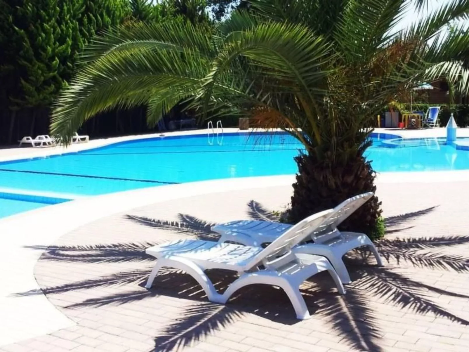 Wohnung in Viareggio mit Privatparkplatz-Buiten