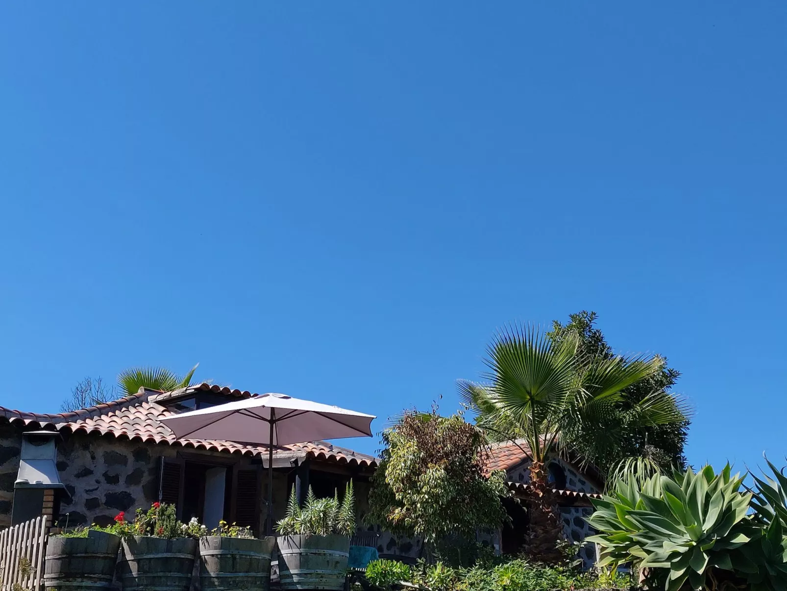 FW Cueva del Viento - Image-tags.info