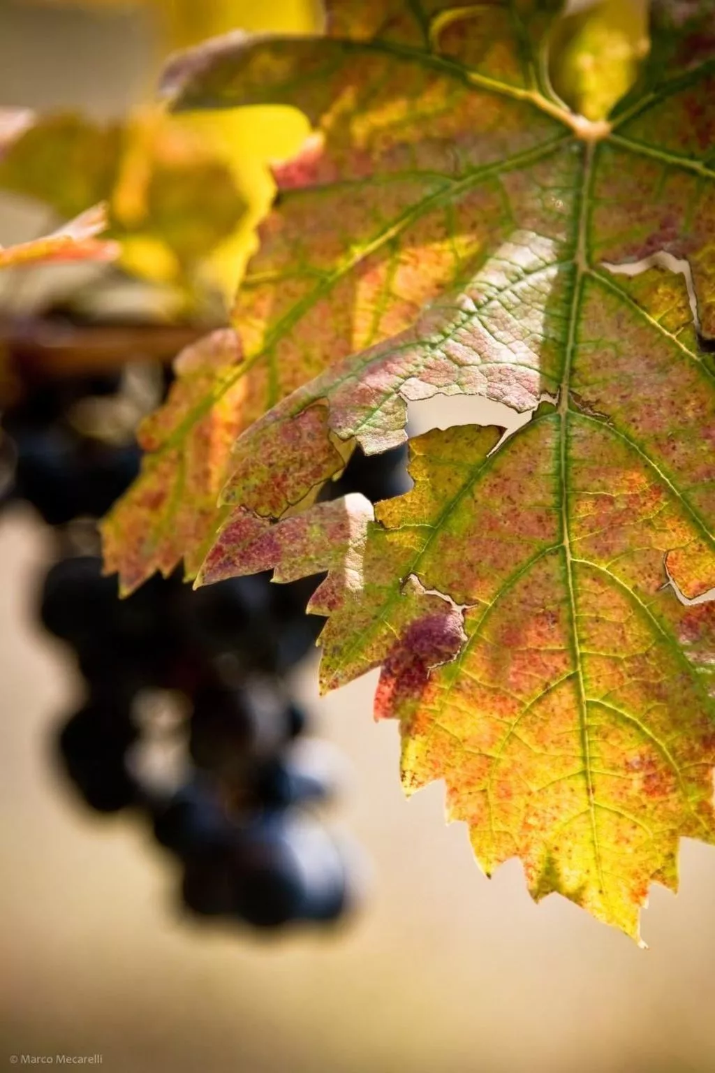 Blaue Wohnung-Image-tags.info