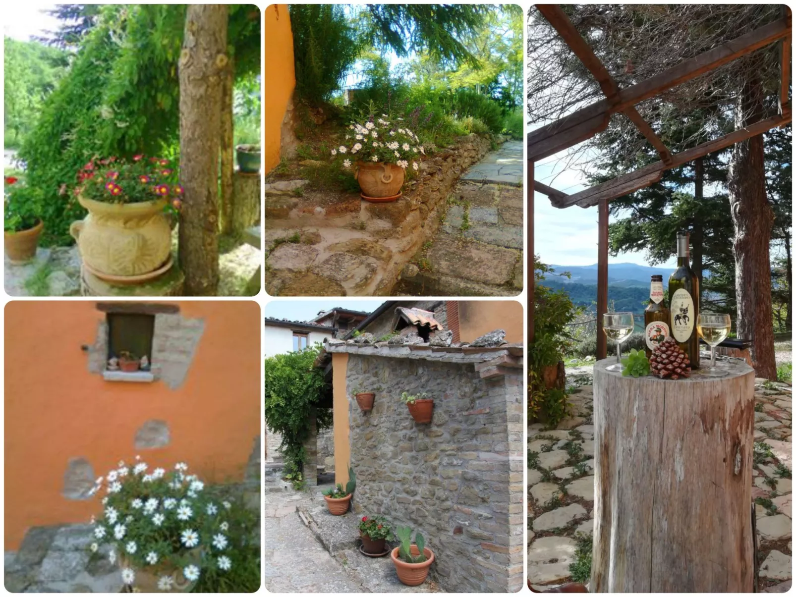 ♥️ ♥️ Ferienhaus Ca Piero - ein antikes Borgo (Dörfchen) OBJEKTPREIS* für 20 Pe-Buiten