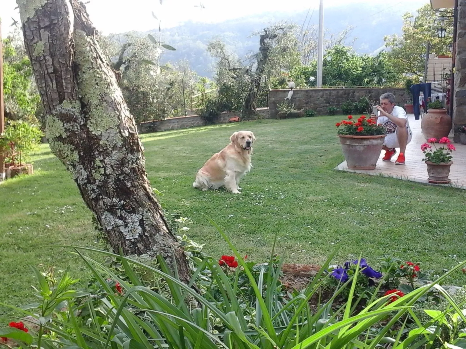 Die Scheune von Penelope